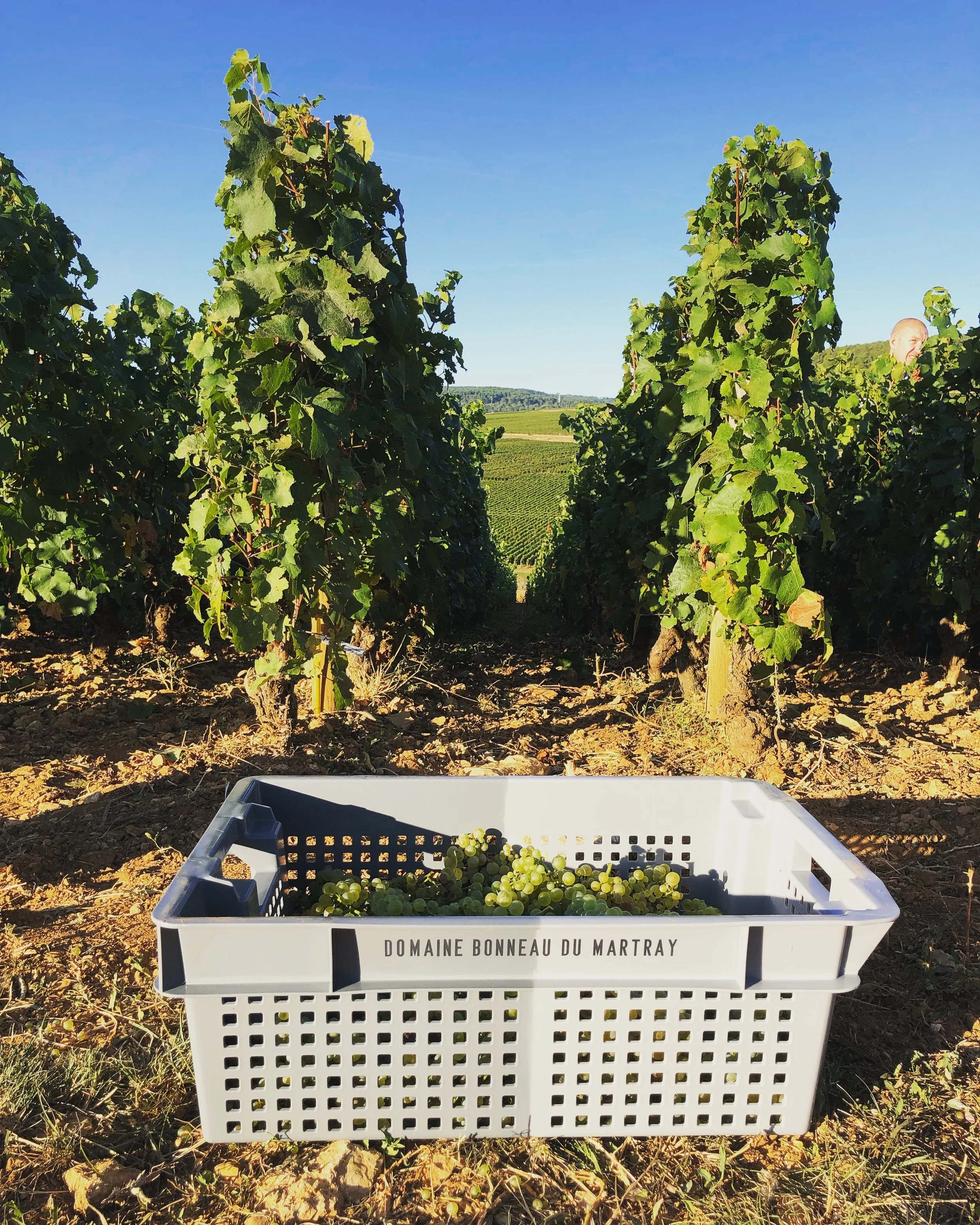 The Humility of Harvest