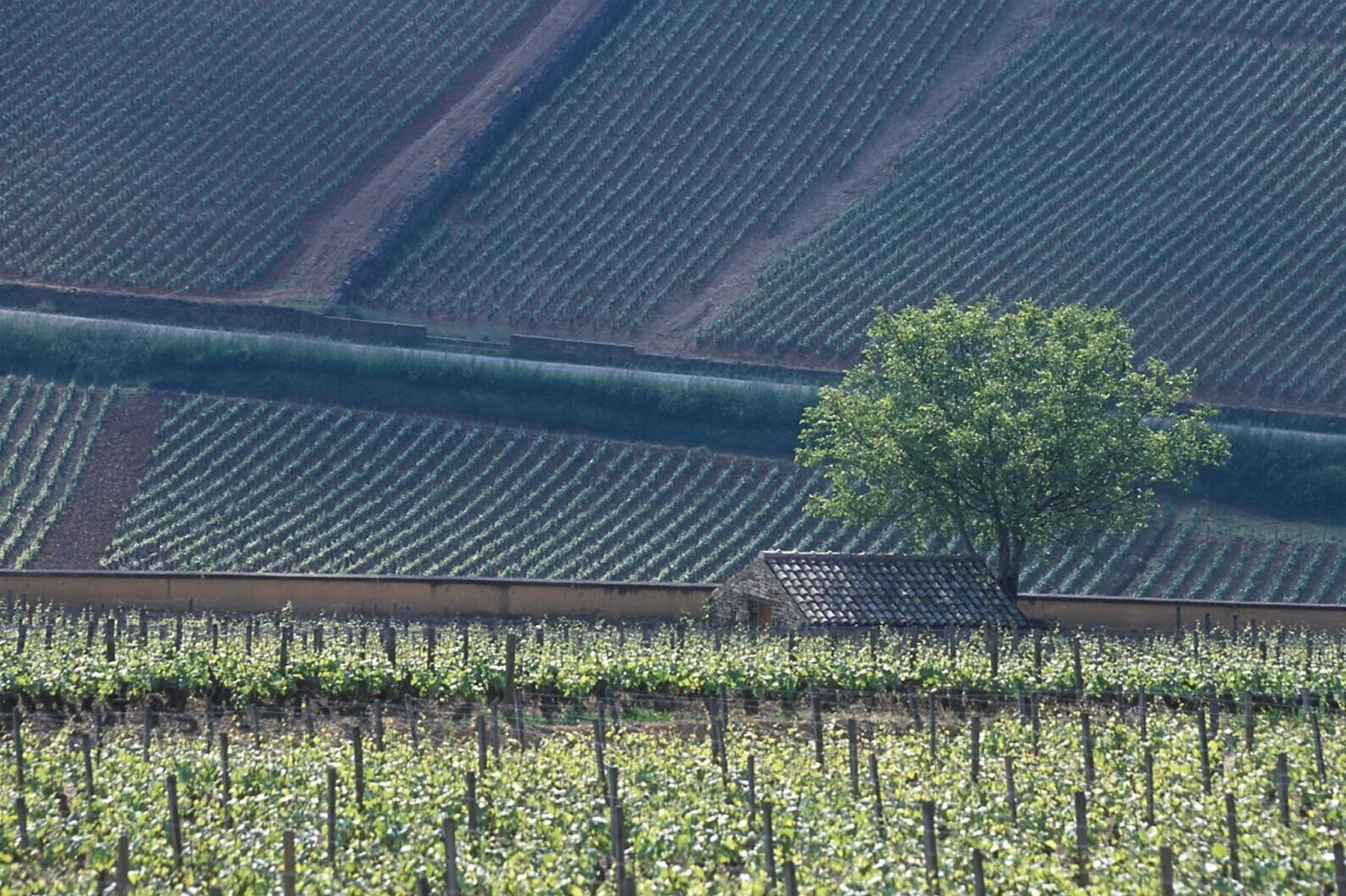 © Karolus Wine IMports