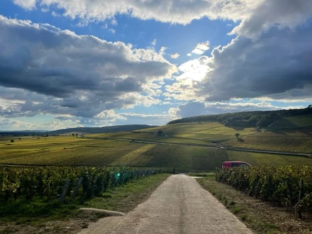 A Return to Burgundy