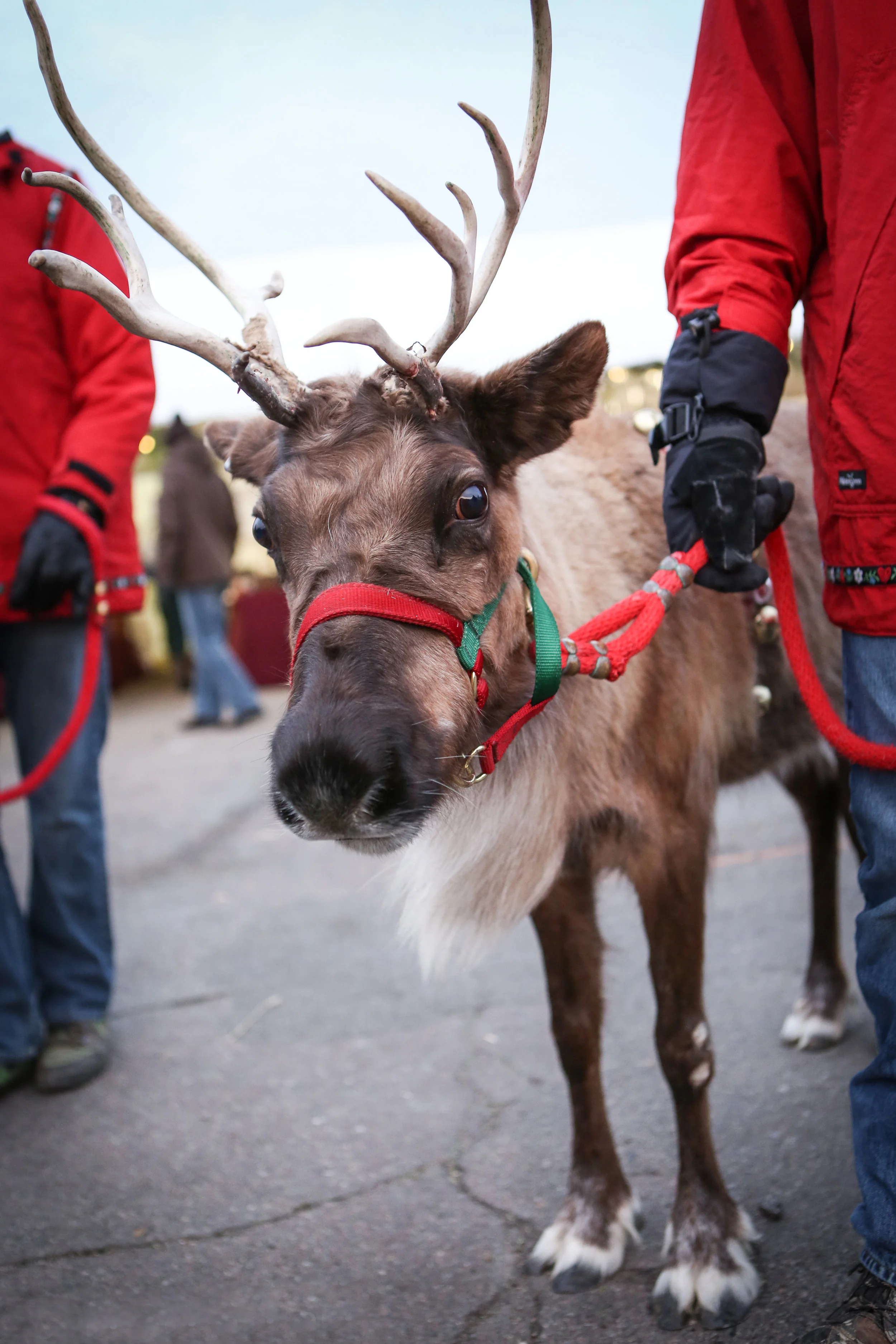 2013 Christkindlsmarkt 2.jpg