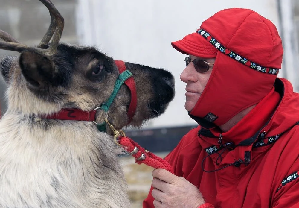 Reindeer & Bob large.jpg