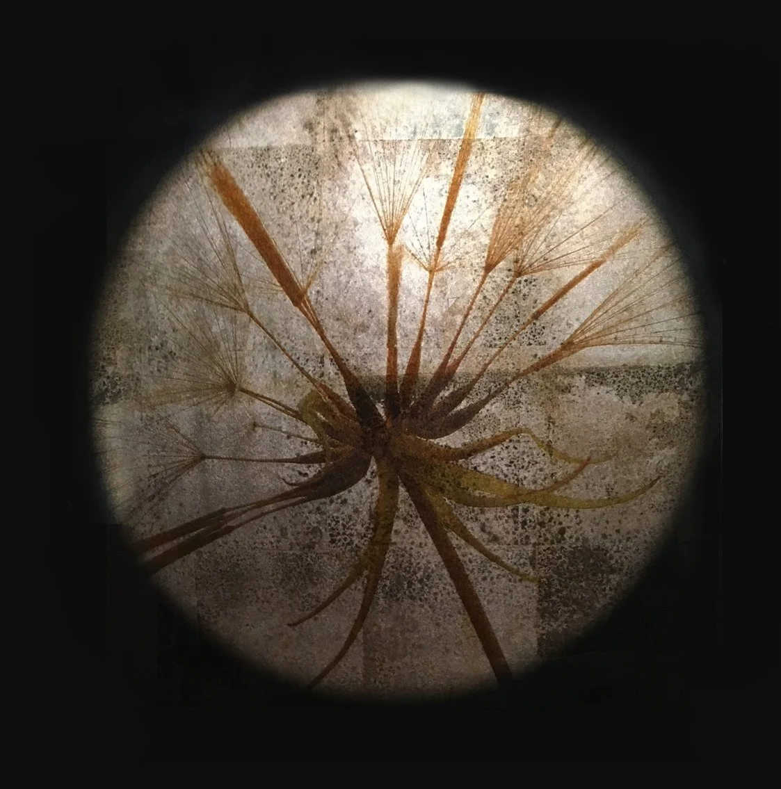 7823FF9C-973F-44A2-A29D-60D294BF1FCC_1_105_c copy.jpg