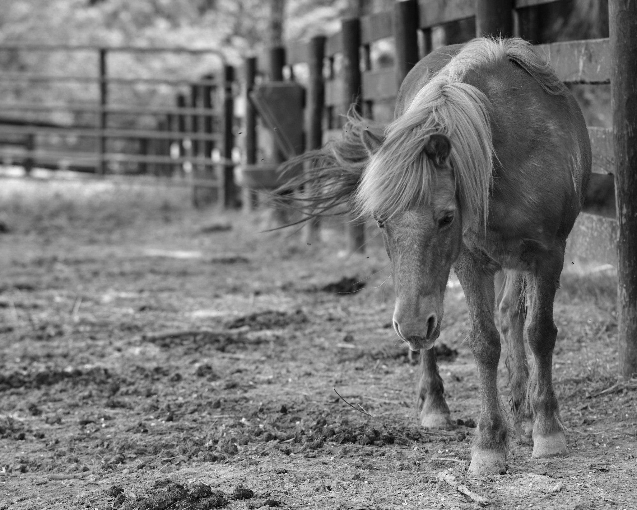 _DSF2764 HOP SC 21MAY2022.jpg