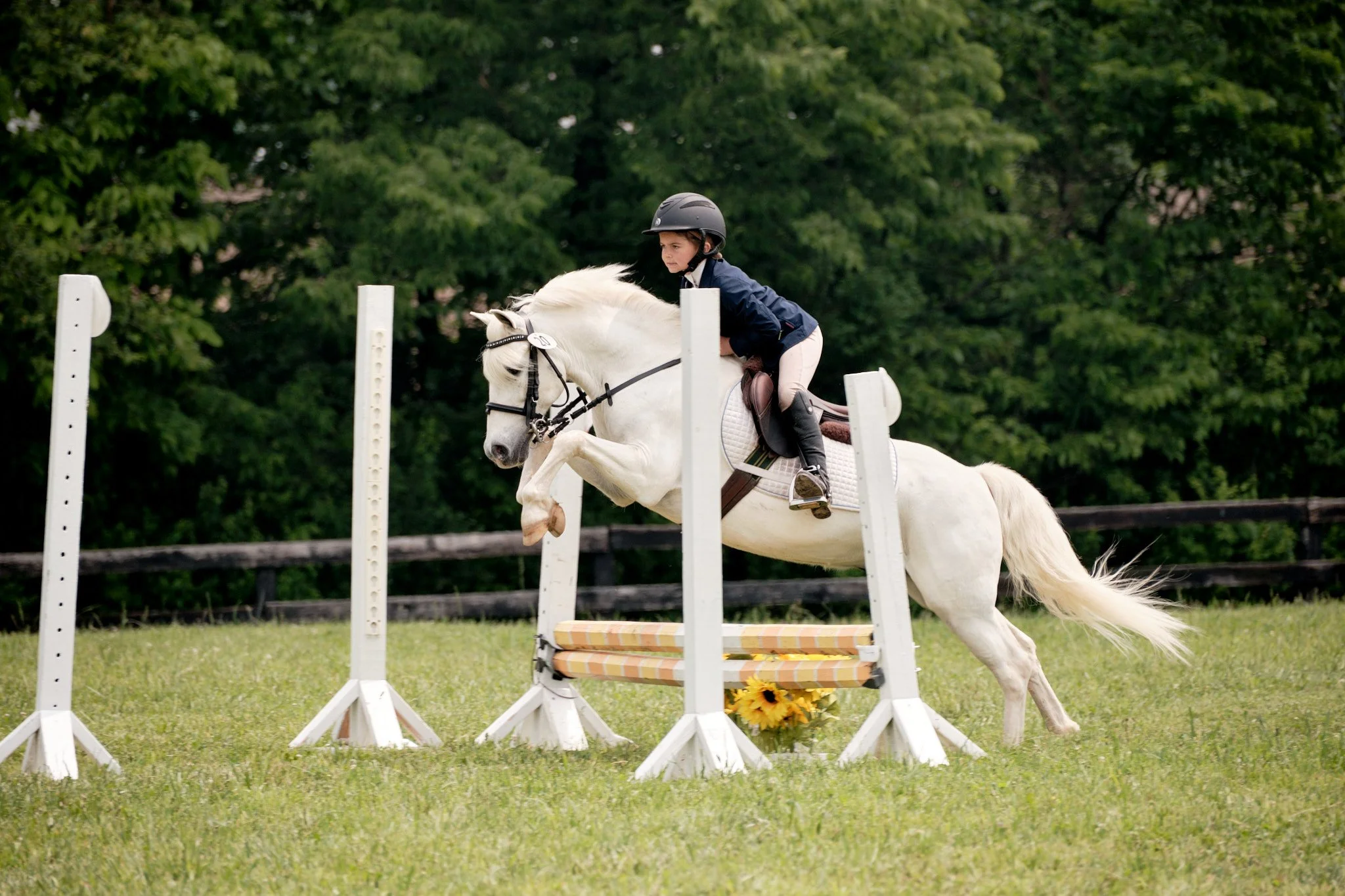 _DSF3428 TuscanyHollow SC 20MAY2023.jpg