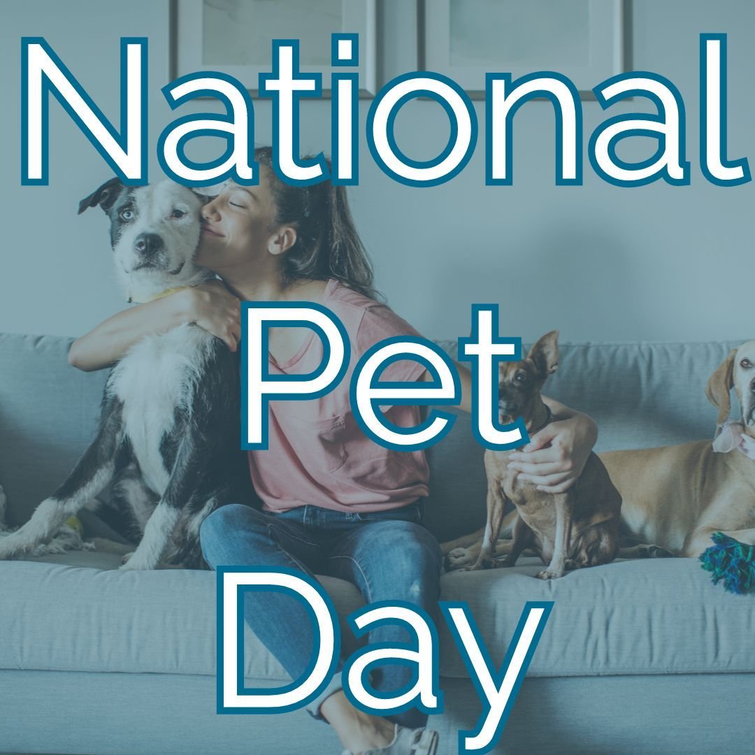 Happy National Pet Day! 🐾 

Today, we celebrate the fluffy, scaly, and feathery friends that bring joy to our lives. 

Show some extra love to your pets today, and maybe even treat them to a little something special! 

(And when you're looking for c