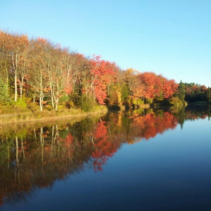 There&rsquo;s no better place to enjoy fall than right here in Mississauga. 🍂

 Here are a few ways to make the most of the season:
1. Take a walk through Centennial Park and enjoy the fall colours 🍁
2. Warm up with a pumpkin spice latte from a loc