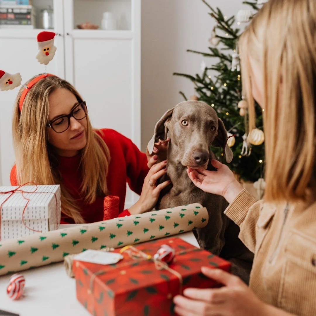 The holidays are busy, and our furry friends can get into mischief fast! 🎄🐾

If your pet ends up snacking on something they shouldn&rsquo;t, remember that @creditvalleyanimalhospital is here to help.

Quick tip: Keep festive decorations and holiday