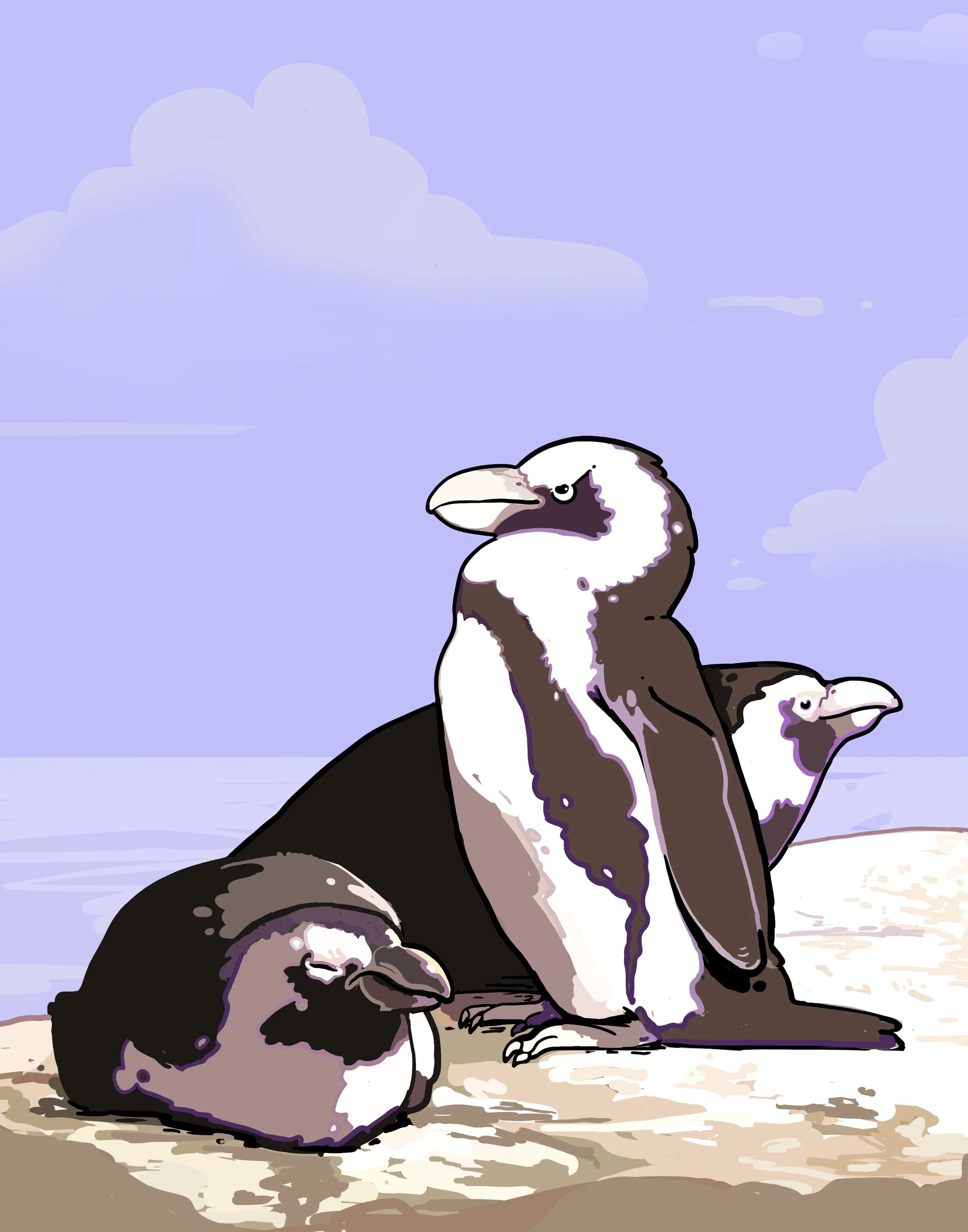 penguins.jpg