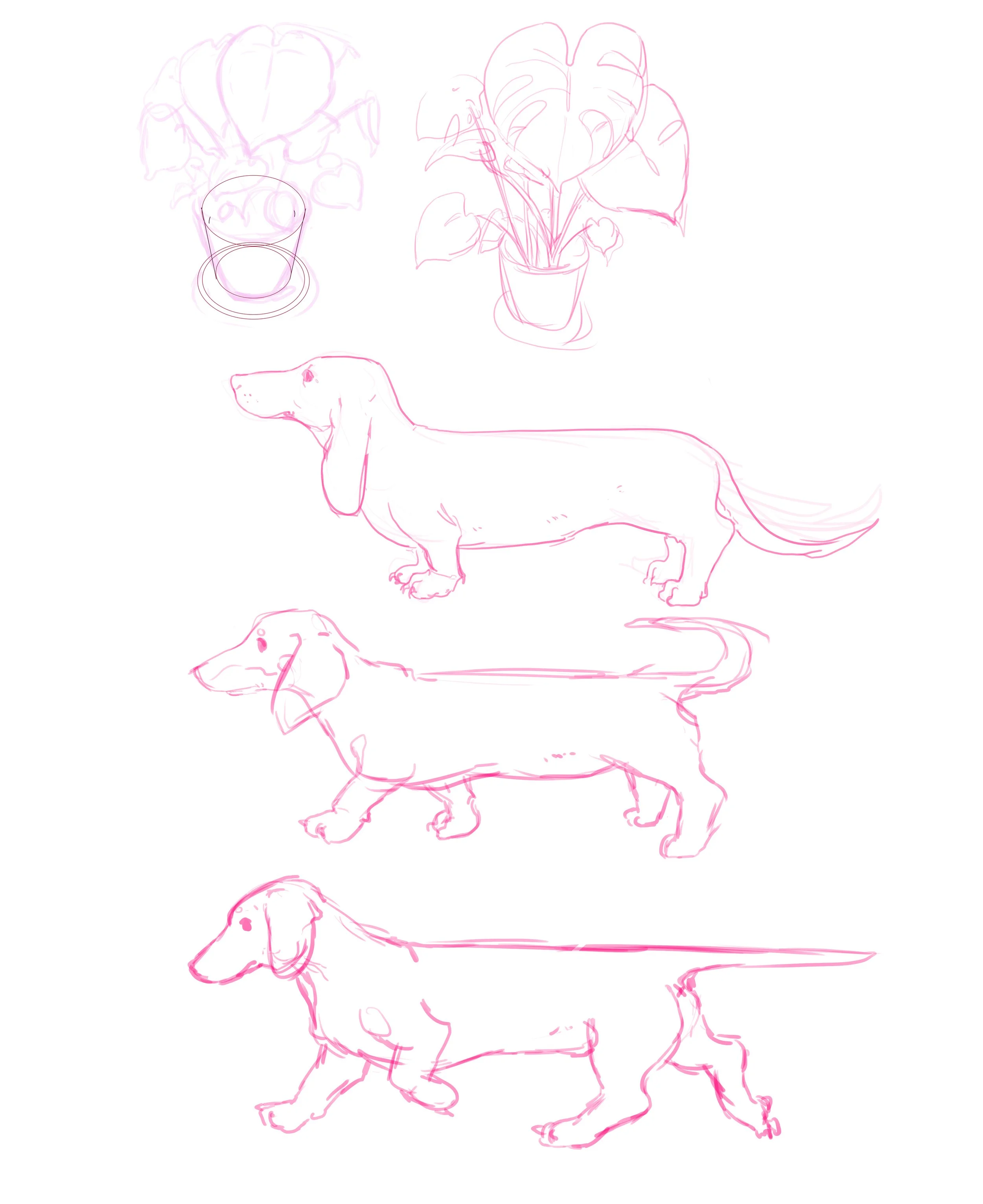 sketches.jpg