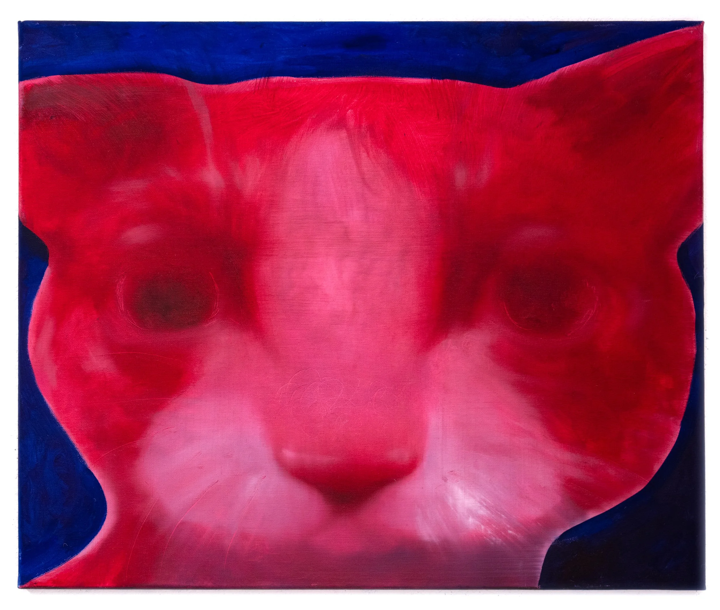   Genuine Cat  , 2026, oil on cotton, 18 x 21.5 inches