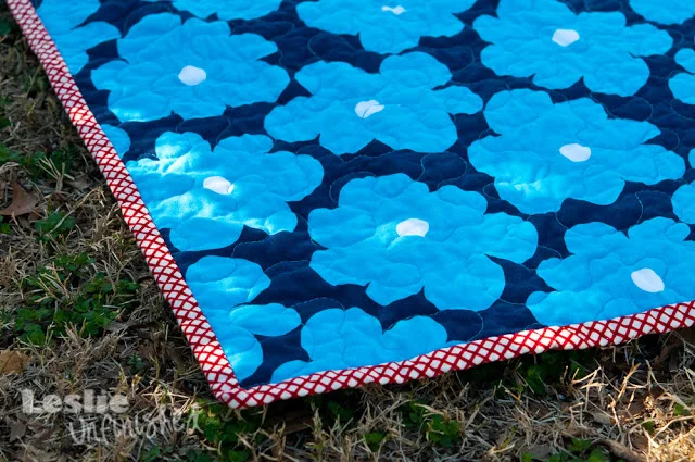 Whole Cloth Quilts: Botanical Pop!
