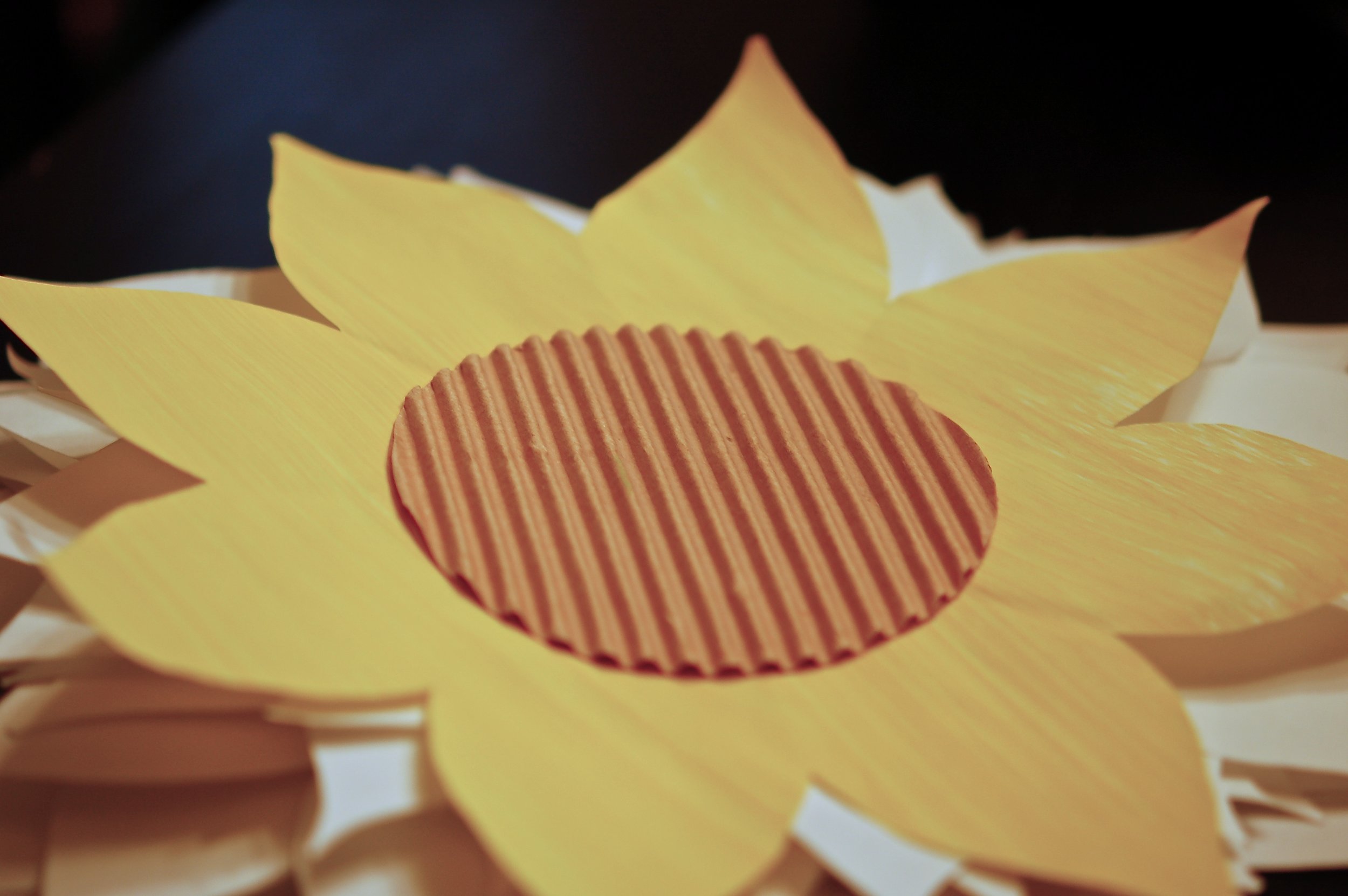 A No Barn, Barn Dance