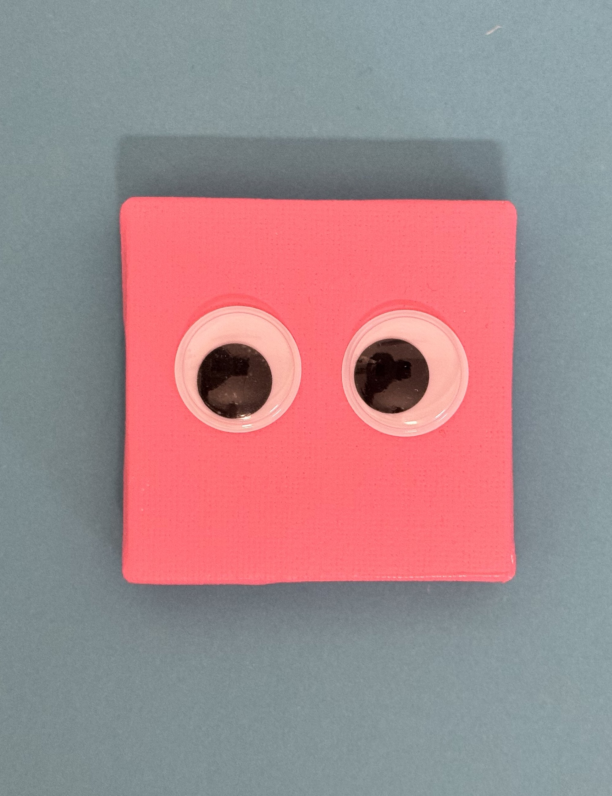 pink one.jpg