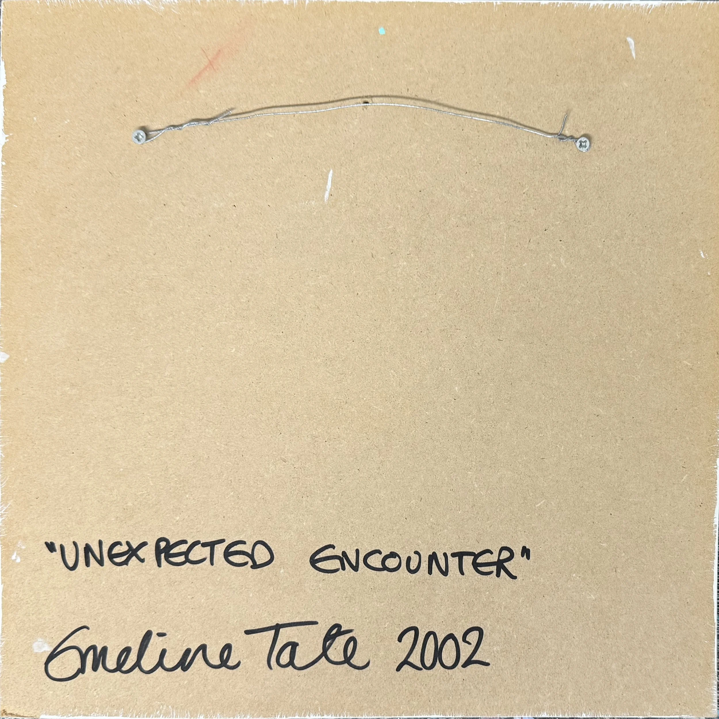 unexpected encounter back.jpg