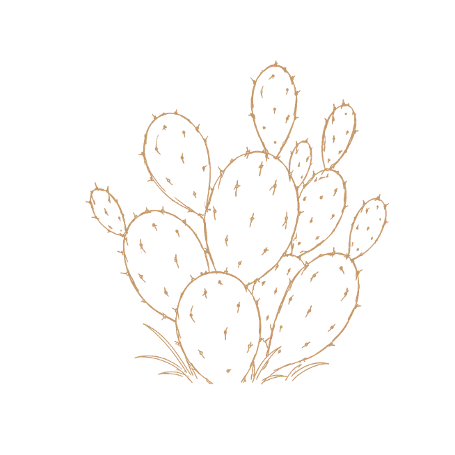 Decorative