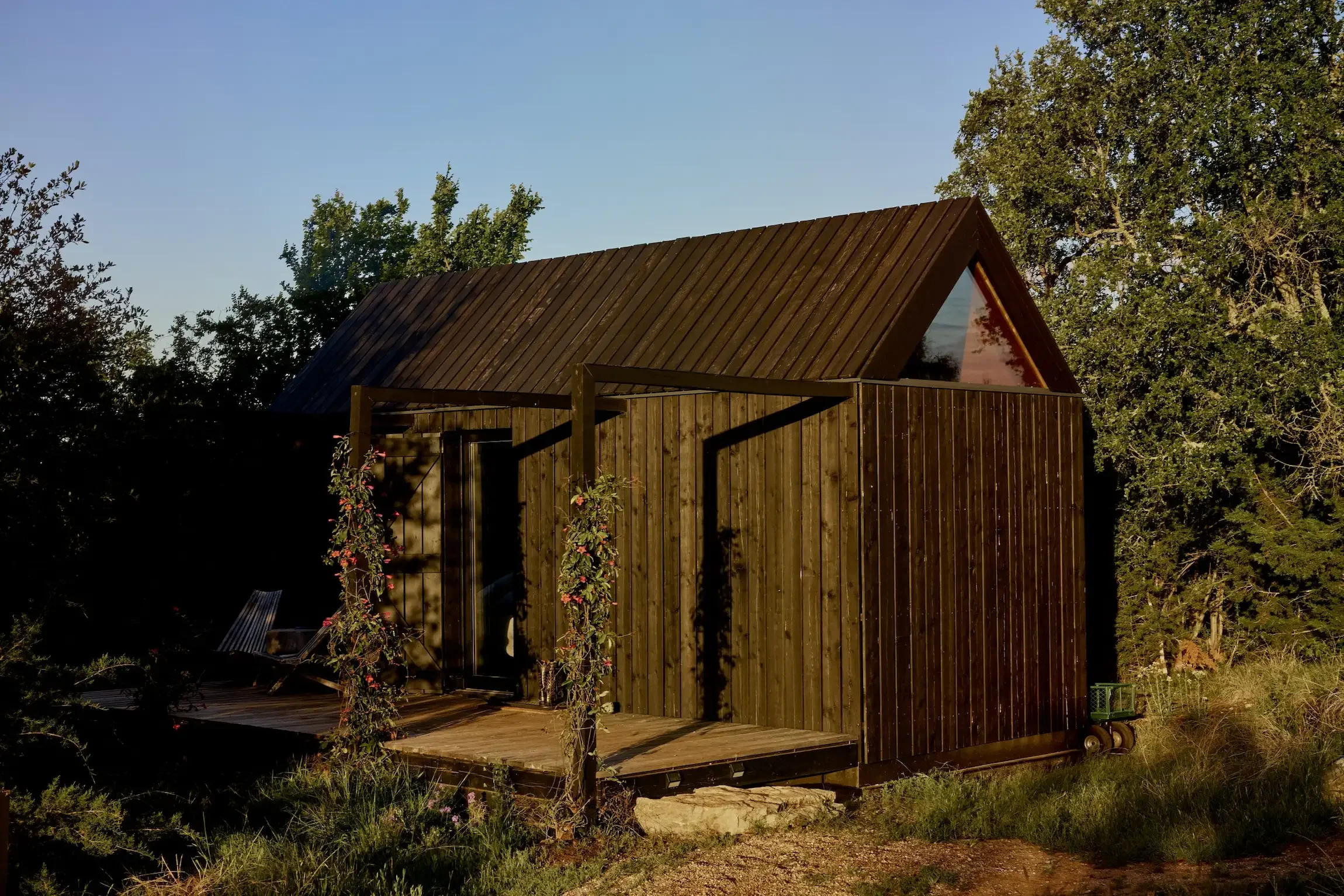 A wooden cabin with a sloped metal roof, outdoor deck, and climbing plants surrounded by trees and tall grass.