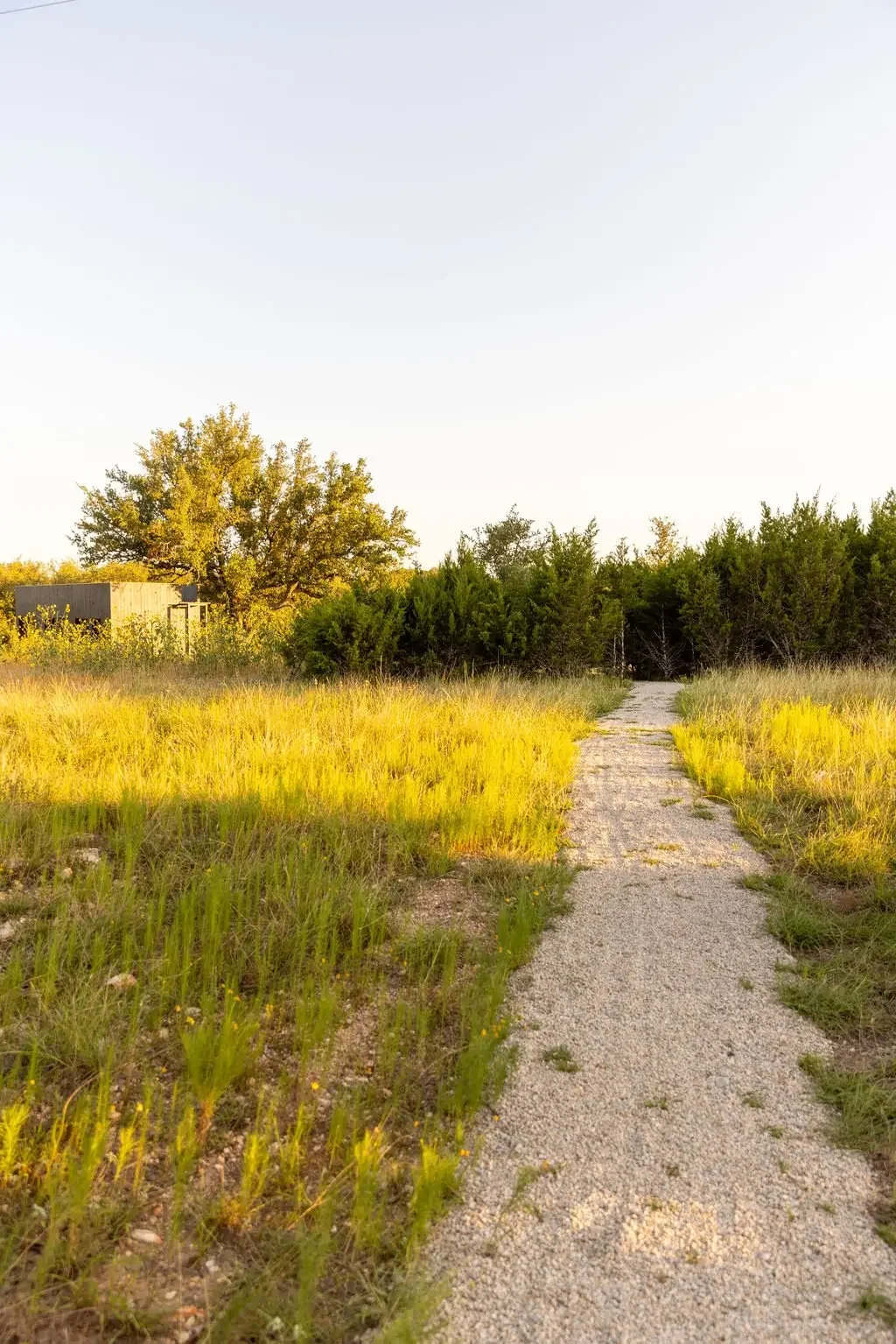 A gravel path winds through tall grass at NowHere.