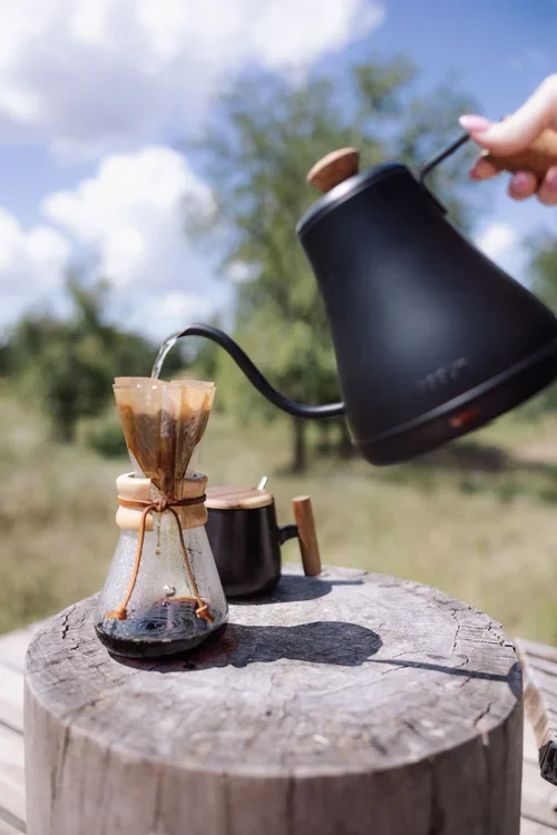 A black kettle pours hot water into a glass pour-over coffee maker on a tree stump.