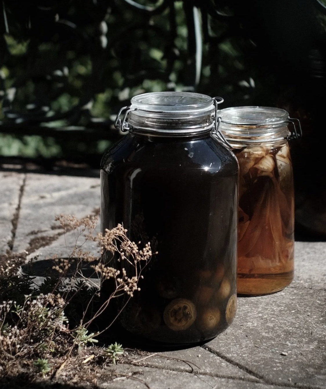 cercle folk medicine (en terres juralpines)