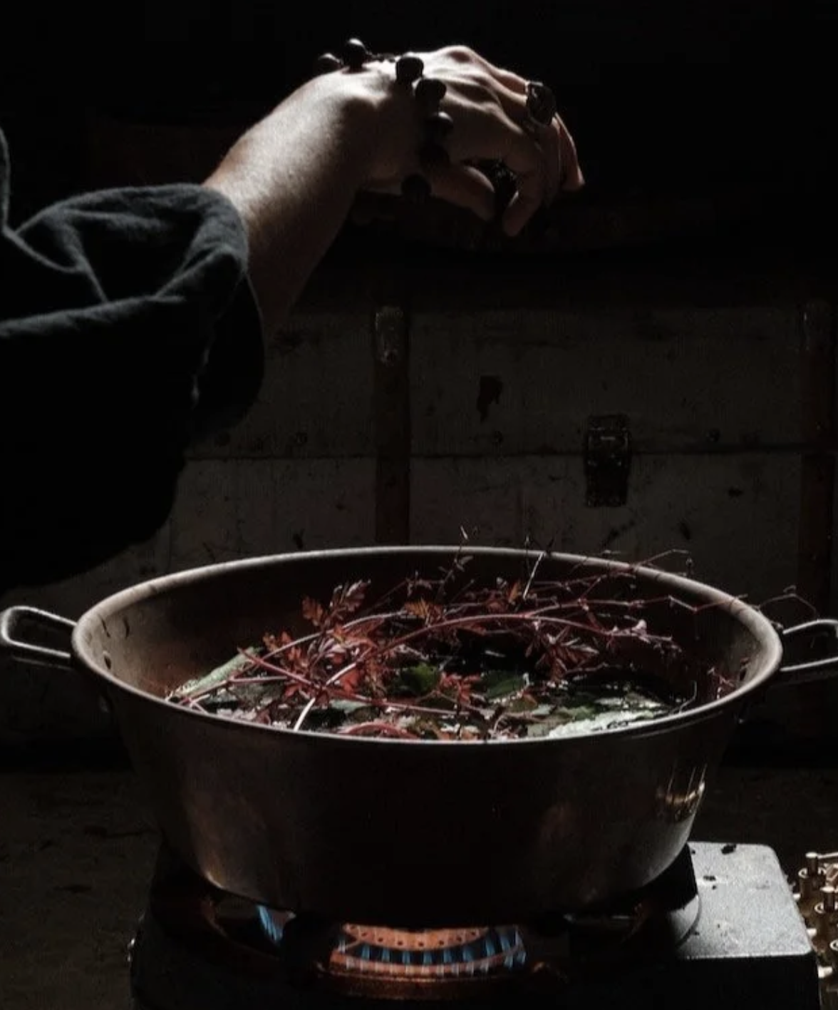 cercle folk medicine (en terres juralpines) - automne