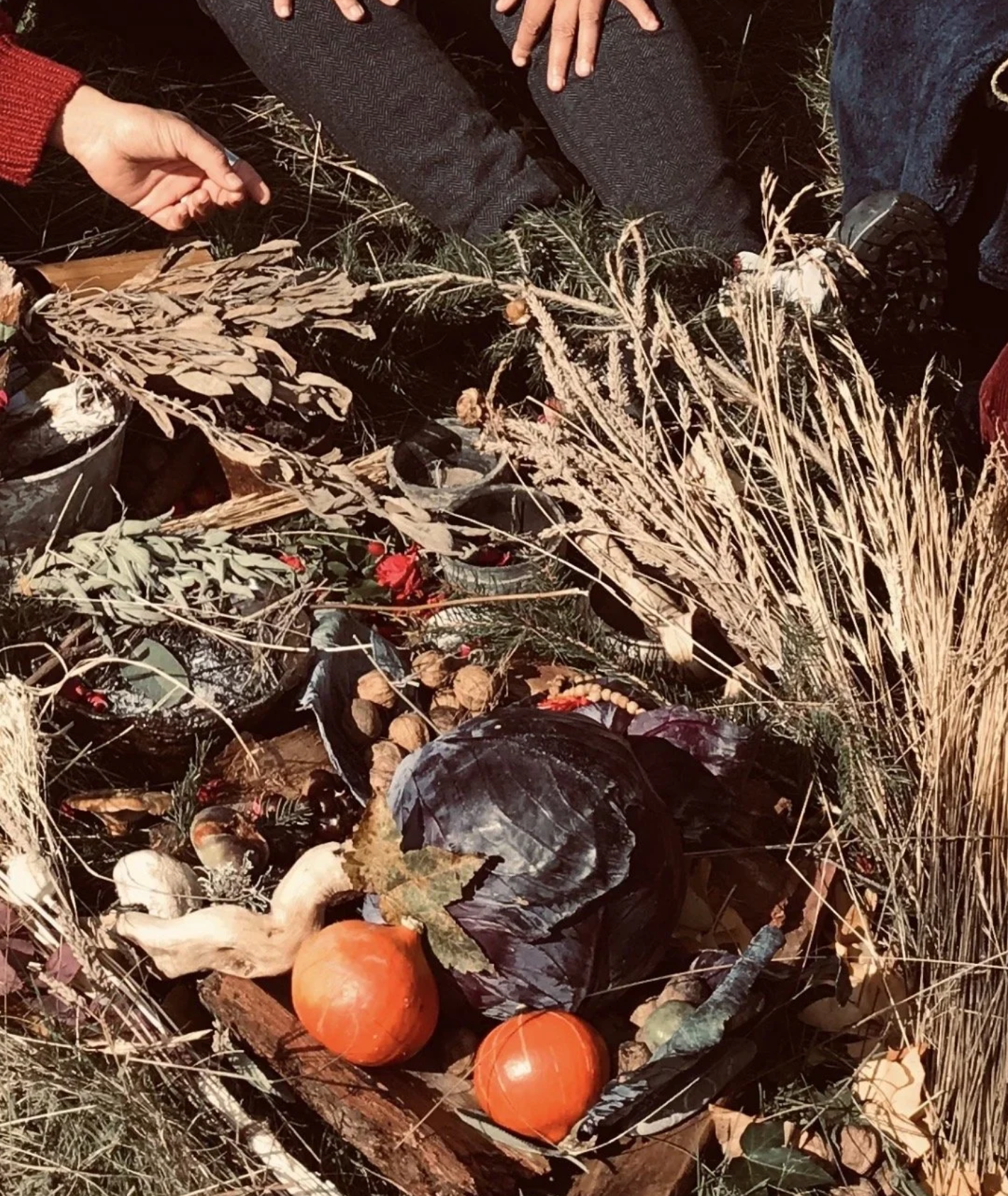 cercle des gardiennes (en terres juralpines) - automne