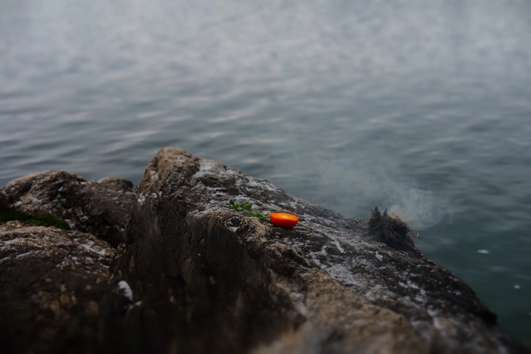 A close-up of a rocky shoreline with an orange substance and some green leaves on the wet rocks near the water. ritual for healing grounds, people with severine Perron gardent