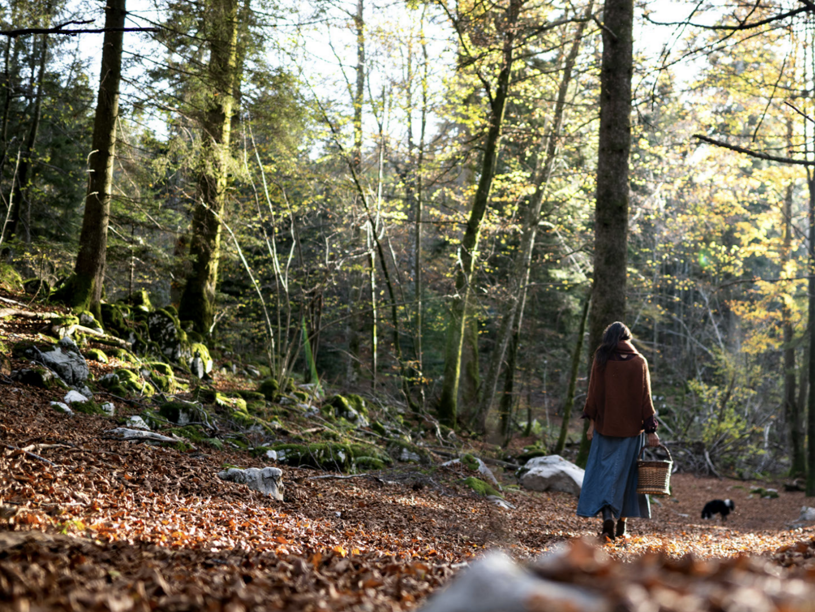 A woman walking through a forest during autumn, carrying a wicker basket, with fallen leaves on the ground and sunlight filtering through the trees.