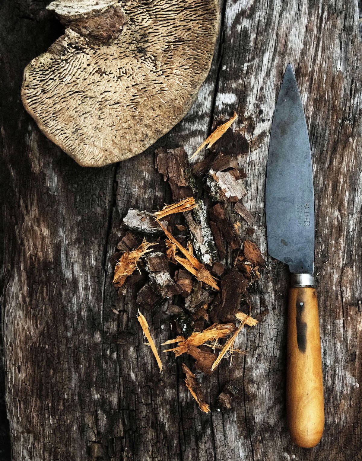 Fungus growing on a piece of wood, a group of chipped firewood, and a kitchen knife with a wooden handle on a weathered wooden surface.