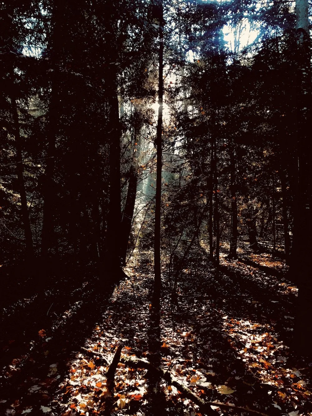 octobre - reliance, écrire l'automne