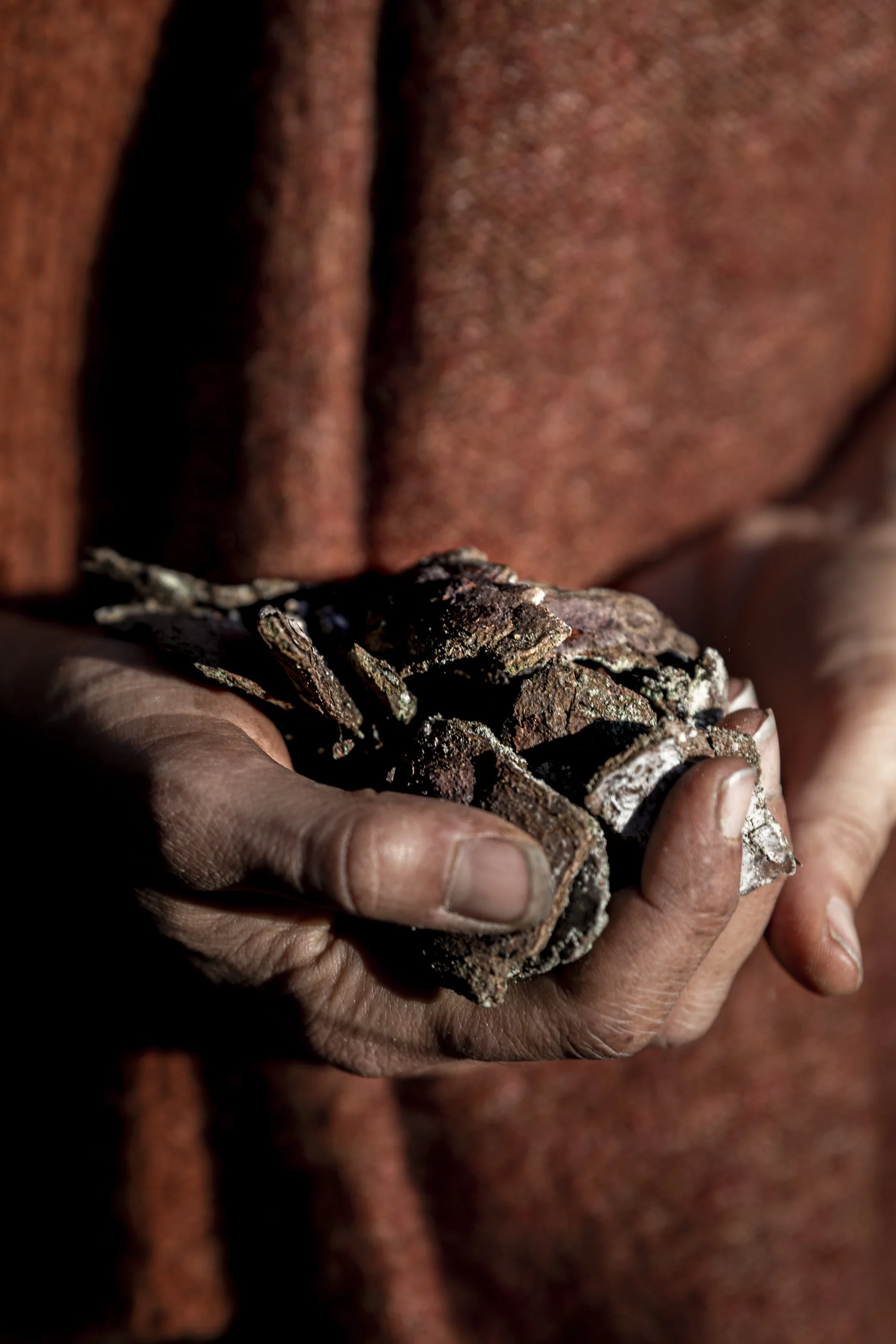 A close-up of a person's hand holding a cluster of bark fragments against a blurred brown textured background.