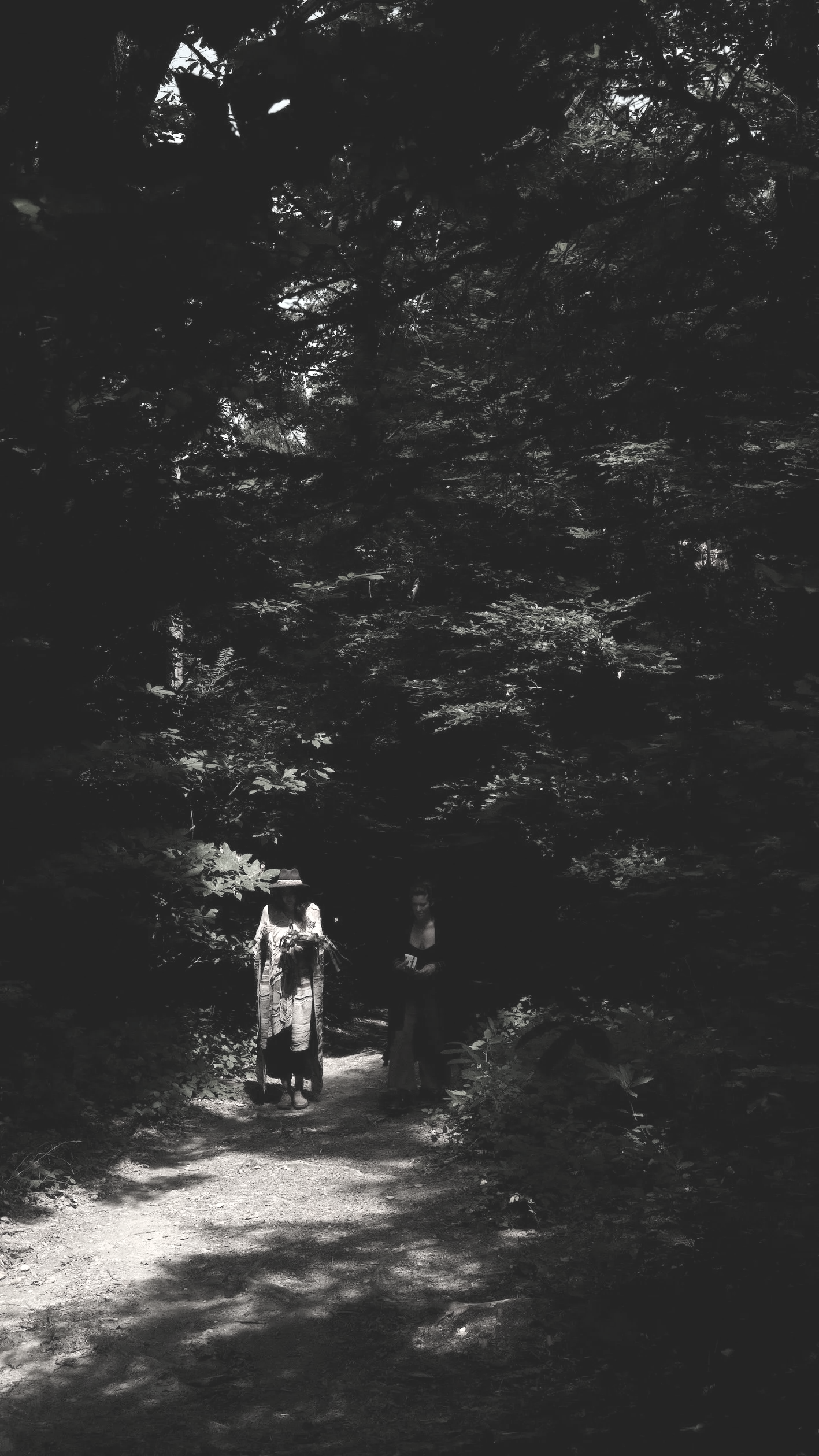 SEVERINE PERRON - transmissions - immersions forets.png