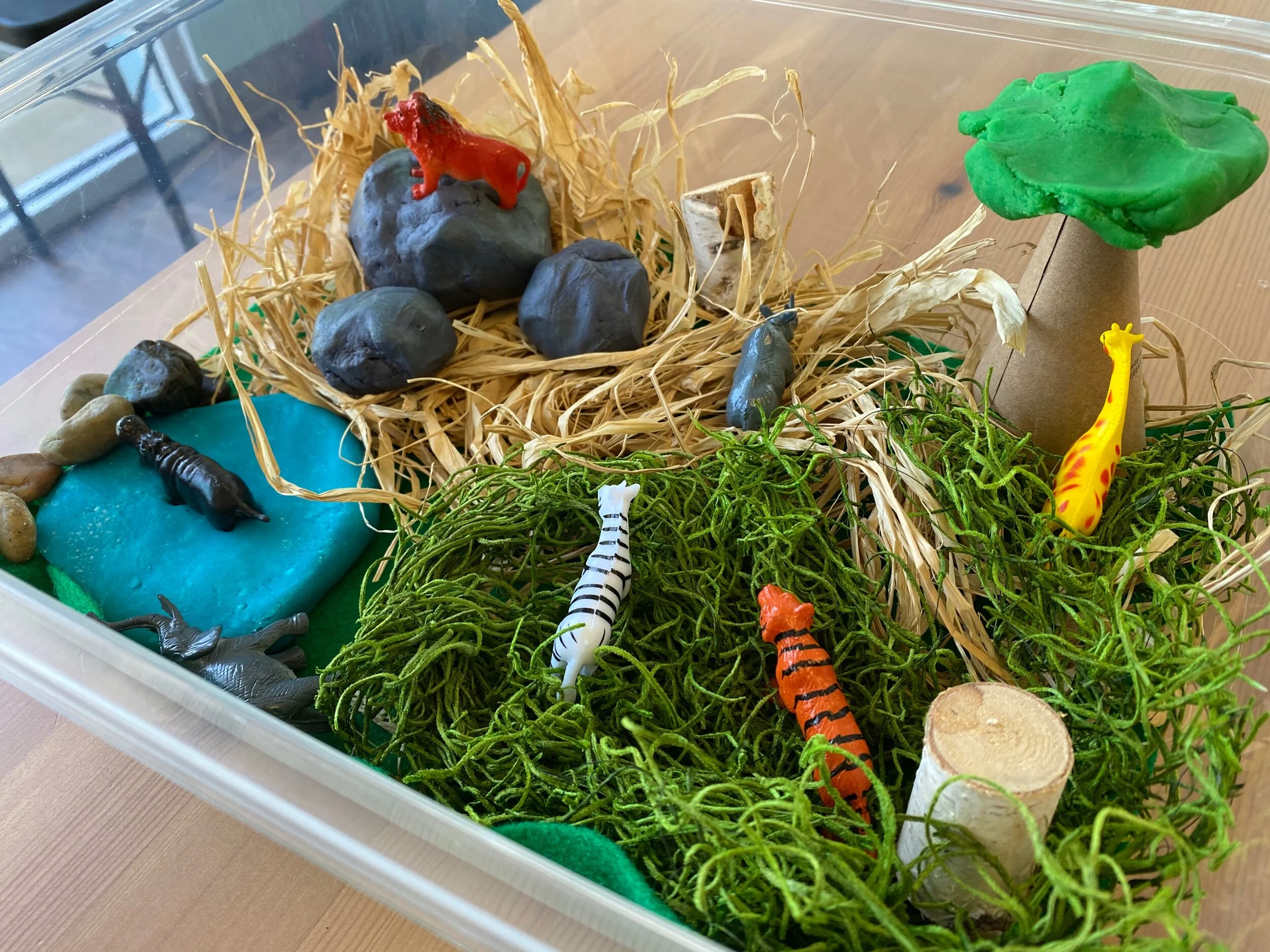 56B05741-8532-49DC-A784-3E4D4A04D3C9