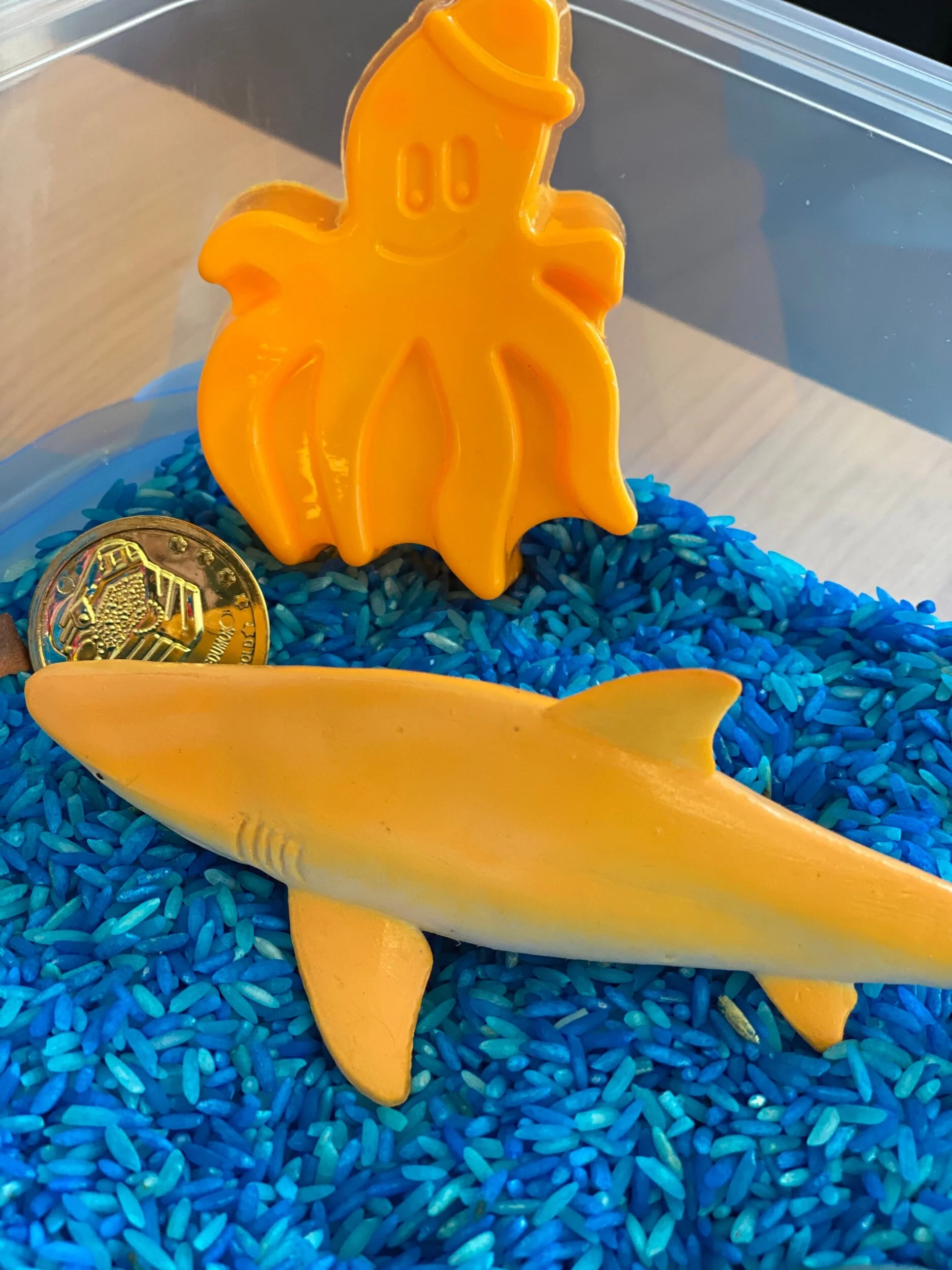 1A11C25C-5363-48BC-8884-F9CF5EA2E54D