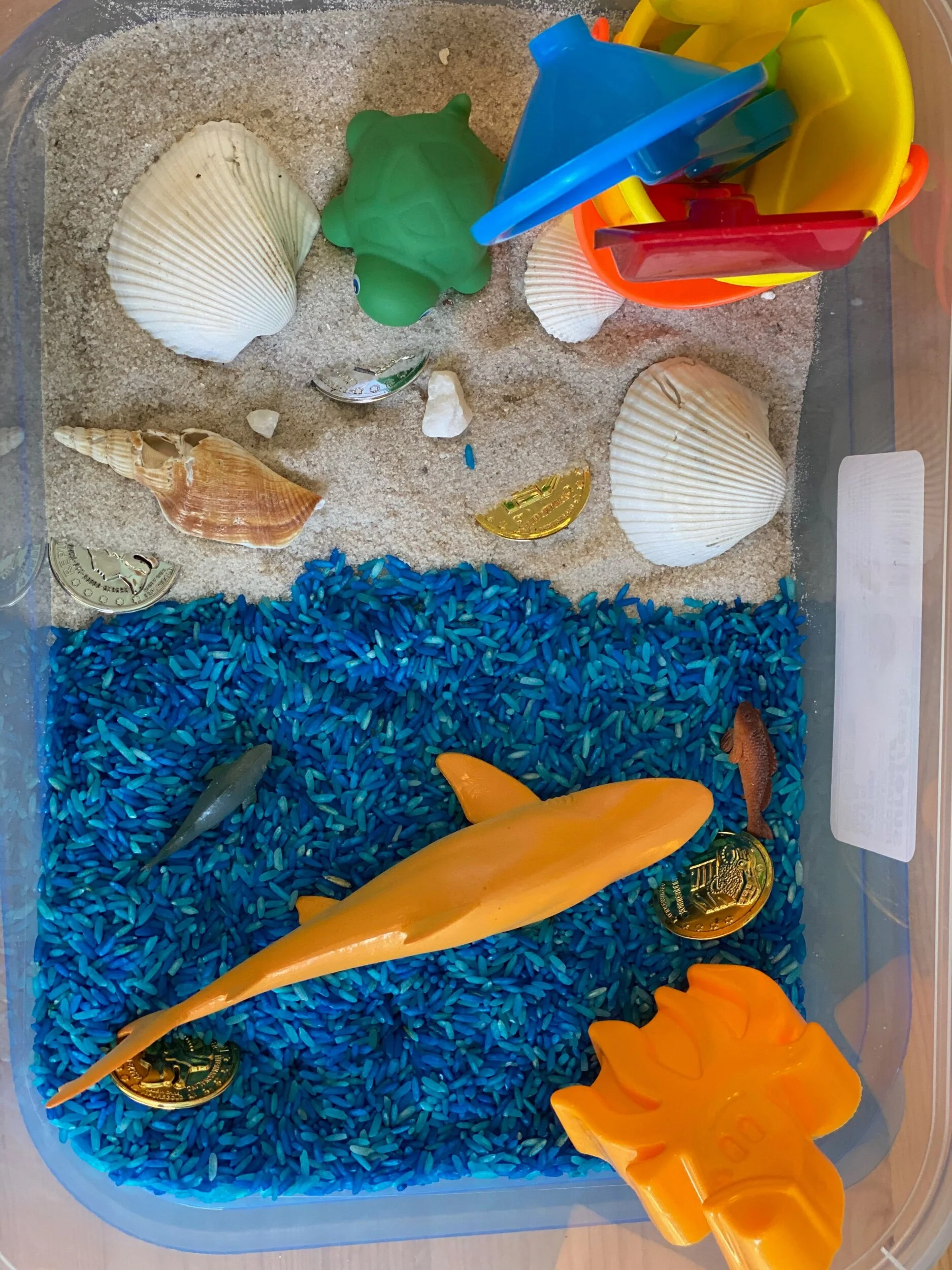 0A6A5625-0179-40FC-B926-5085E7C1B20B