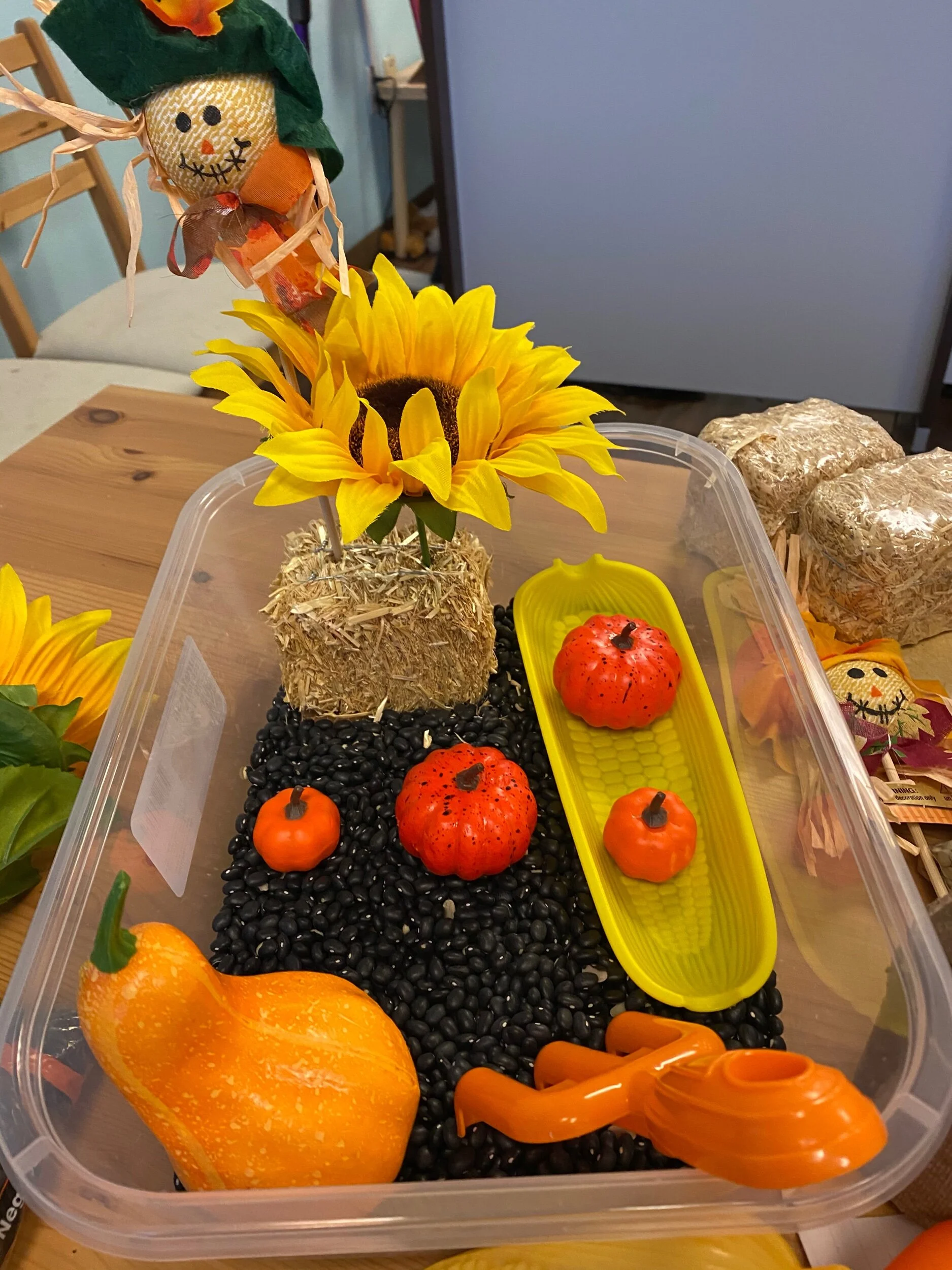 9ED748A6-0B7E-4CA4-B7B7-04566E0E007E