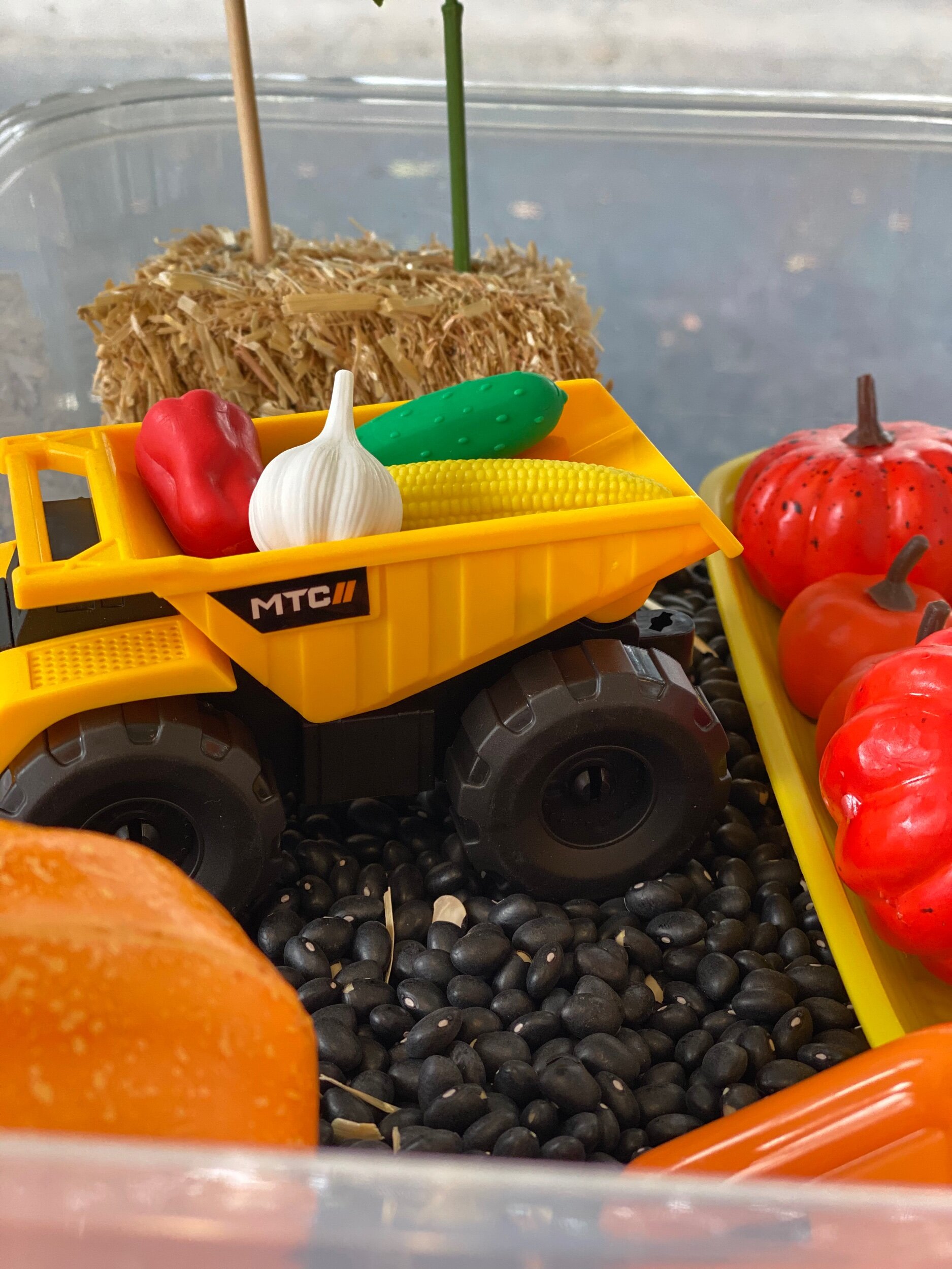 2D8584C0-5DBA-4DA1-BE81-CF30FF8043BB