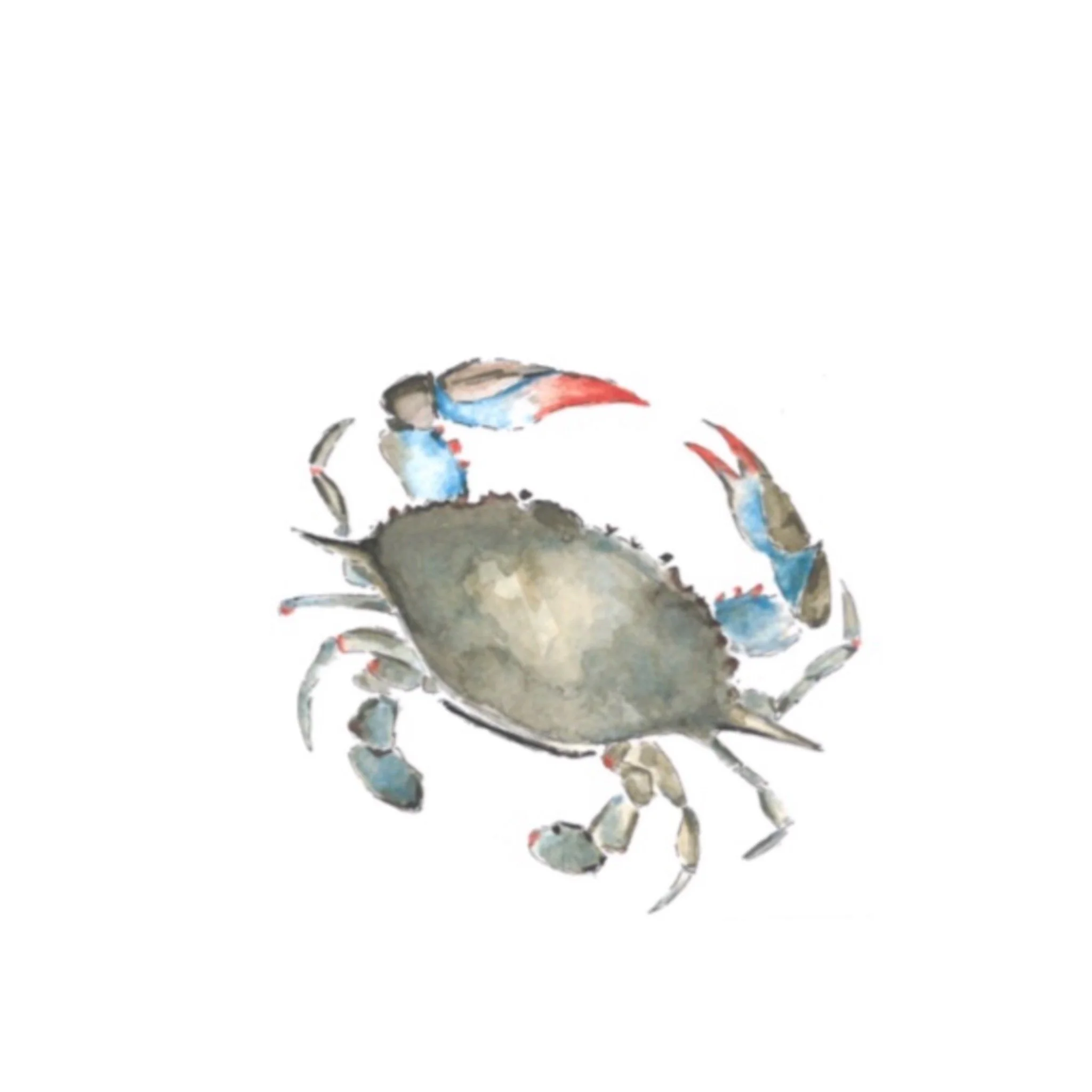 crabbies note cards