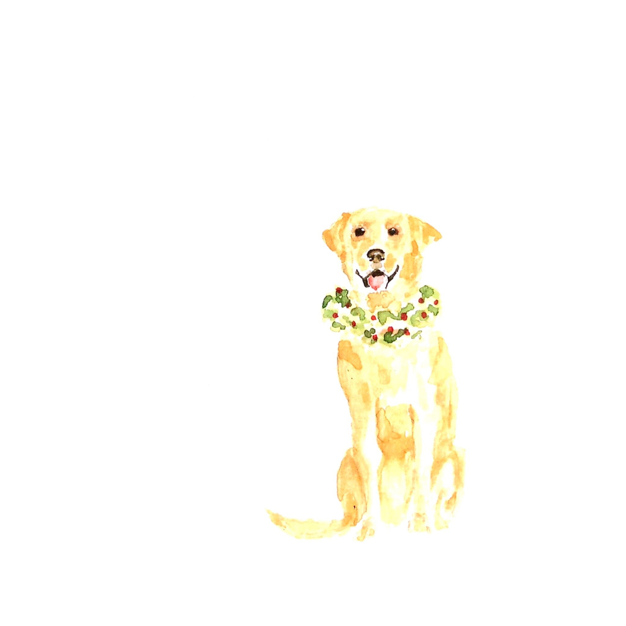 yellow lab holiday note cards