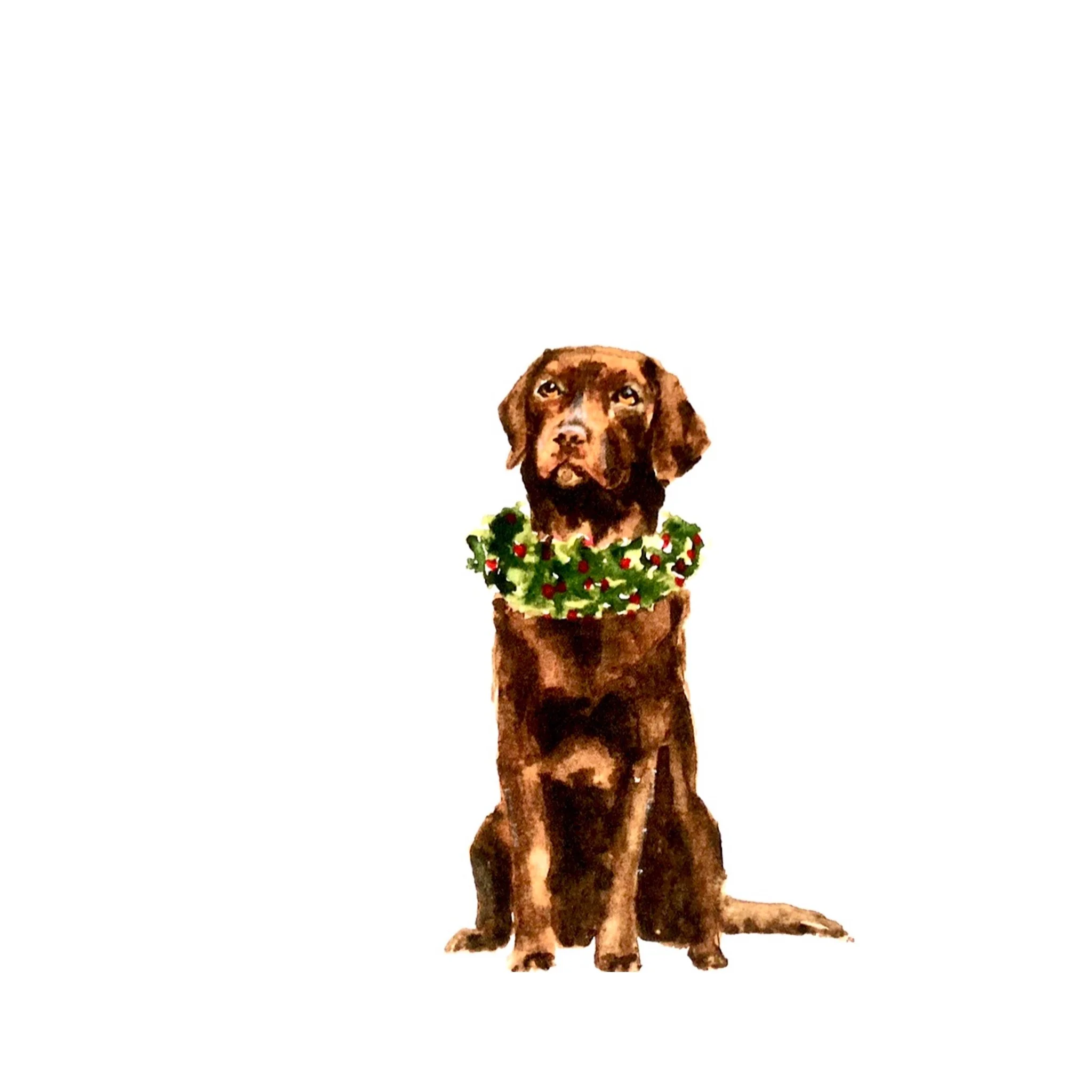 chocolate lab holiday note cards