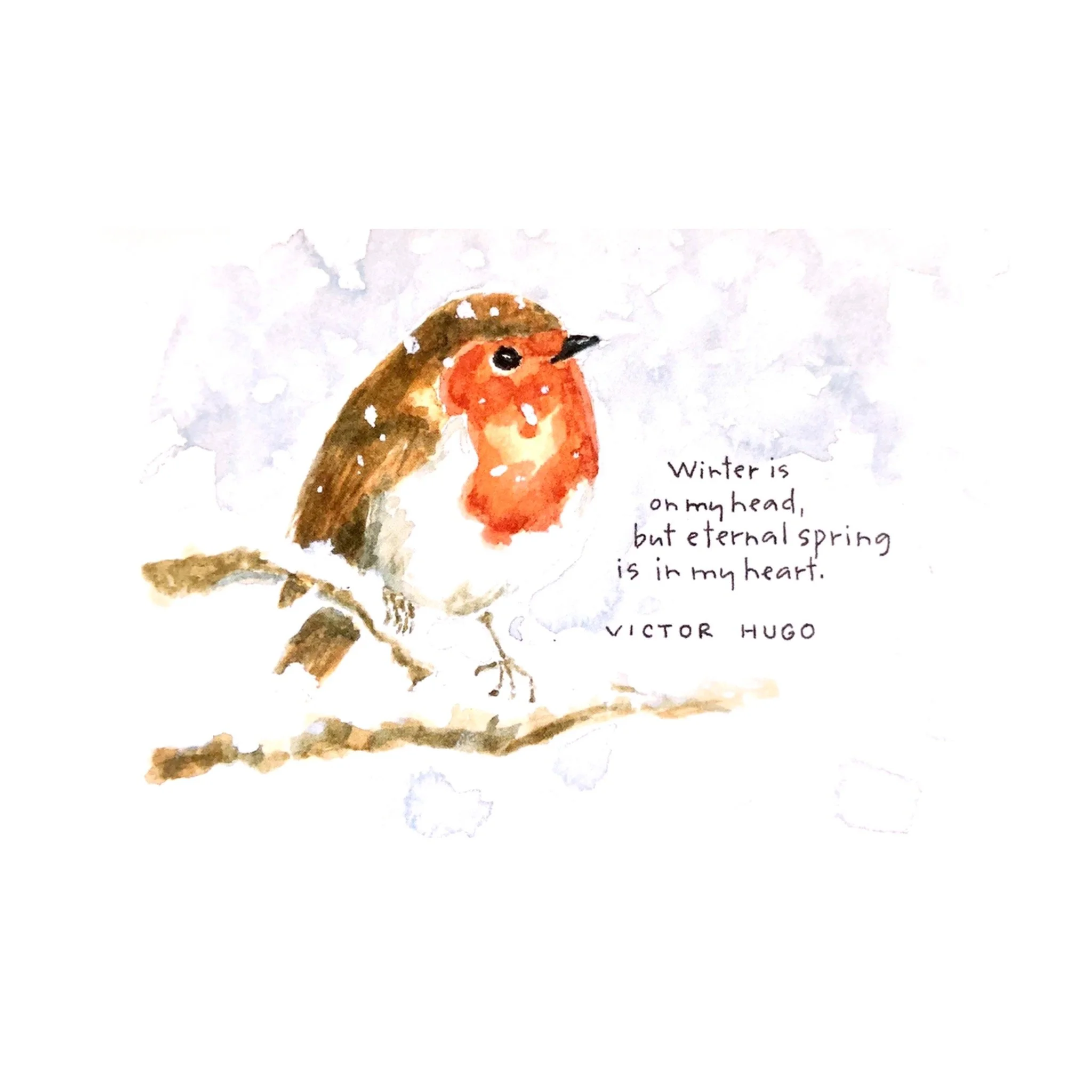snowy robin note cards