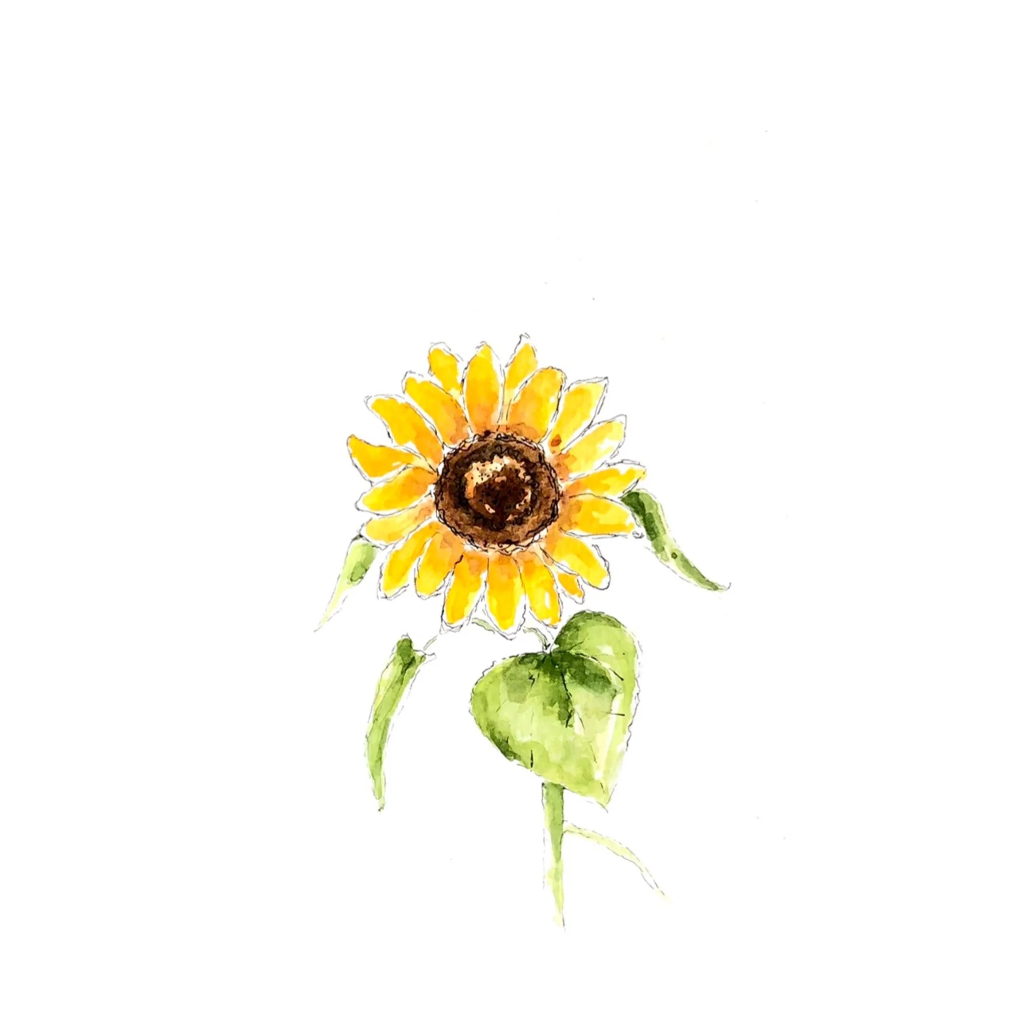 sunflower note cards