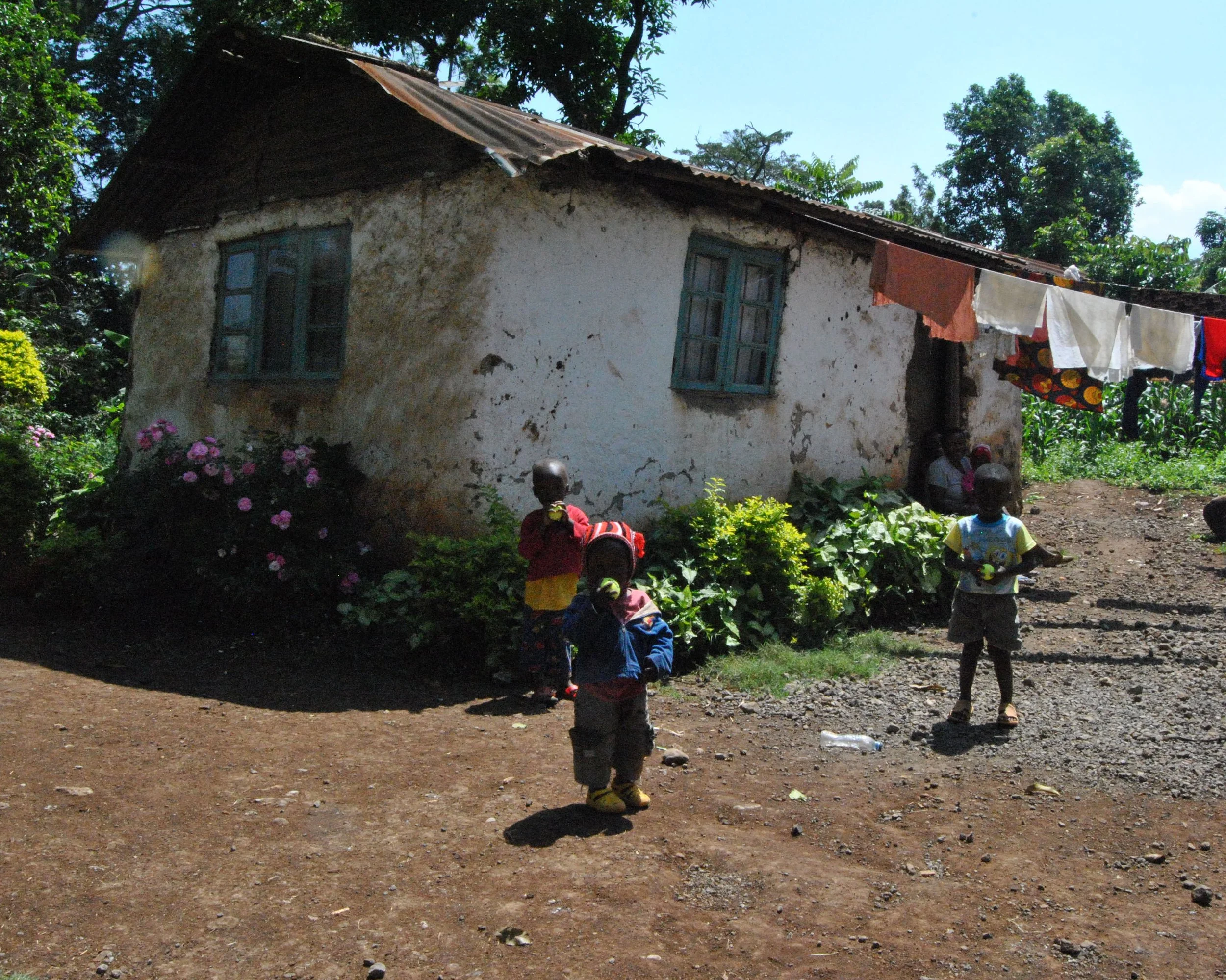 cropped DSC_0042.JPG