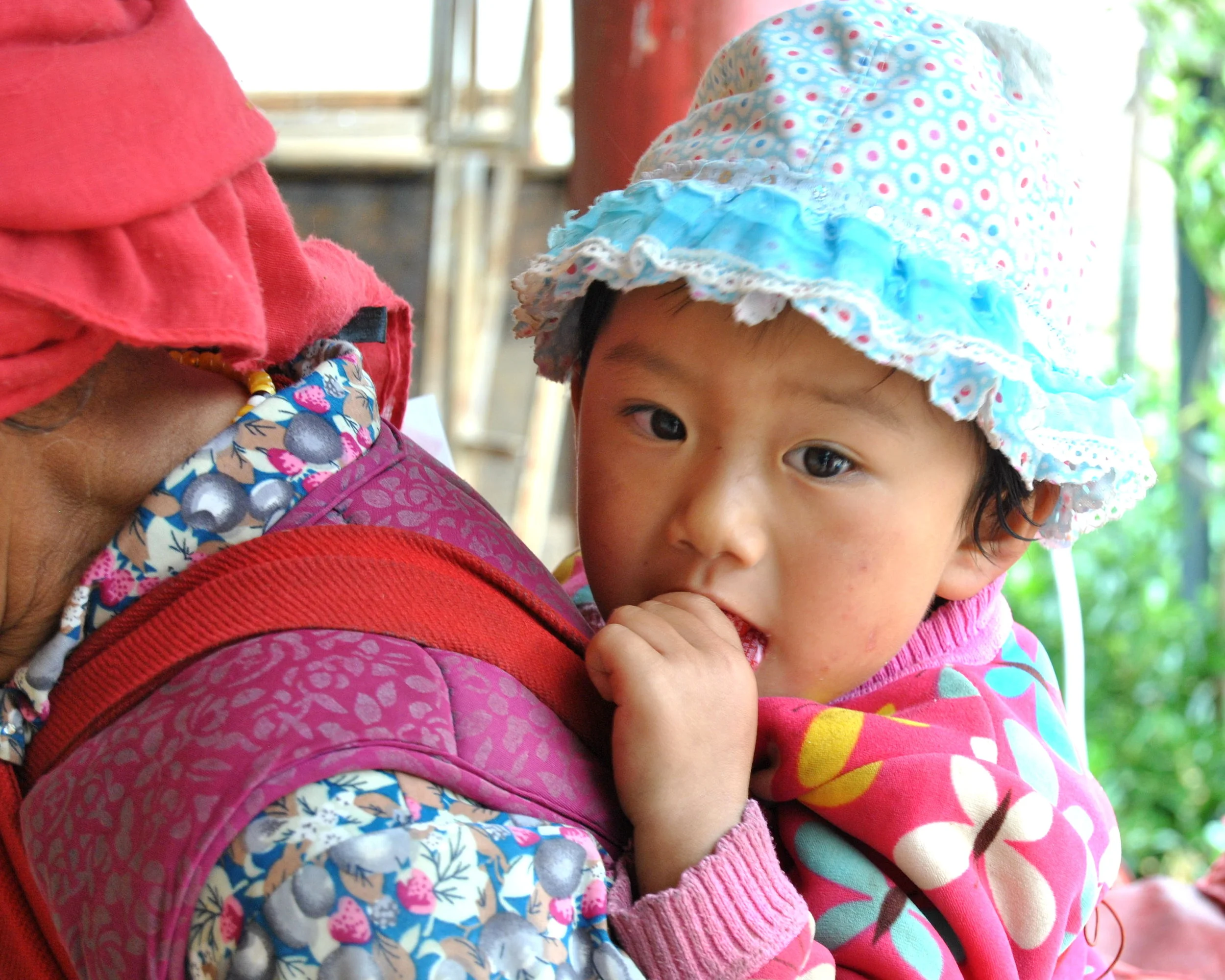 cropped DSC_1114.JPG