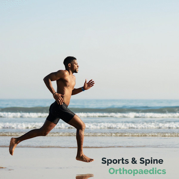 SportsSpine_Social_December_12-11_1.gif