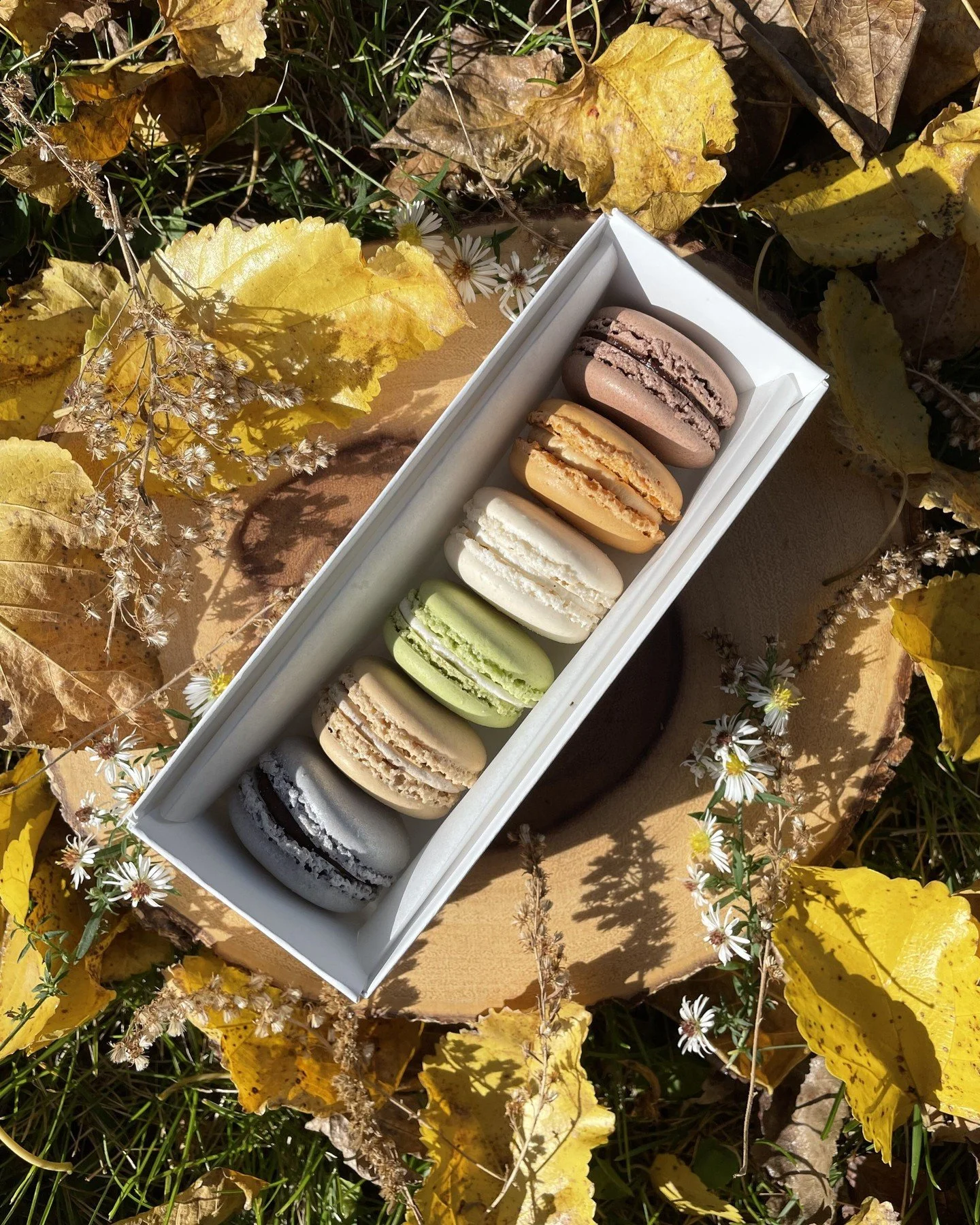 Our Autumn Macaron Box is a Thanksgiving table essential.

This seasonal assortment includes: Madagascar Vanilla Bean, 70% Bittersweet Chocolate, Espresso, Salted Caramel, Sicilian Pistachio, and Calamansi - White Chocolate. 

Available as part of ou