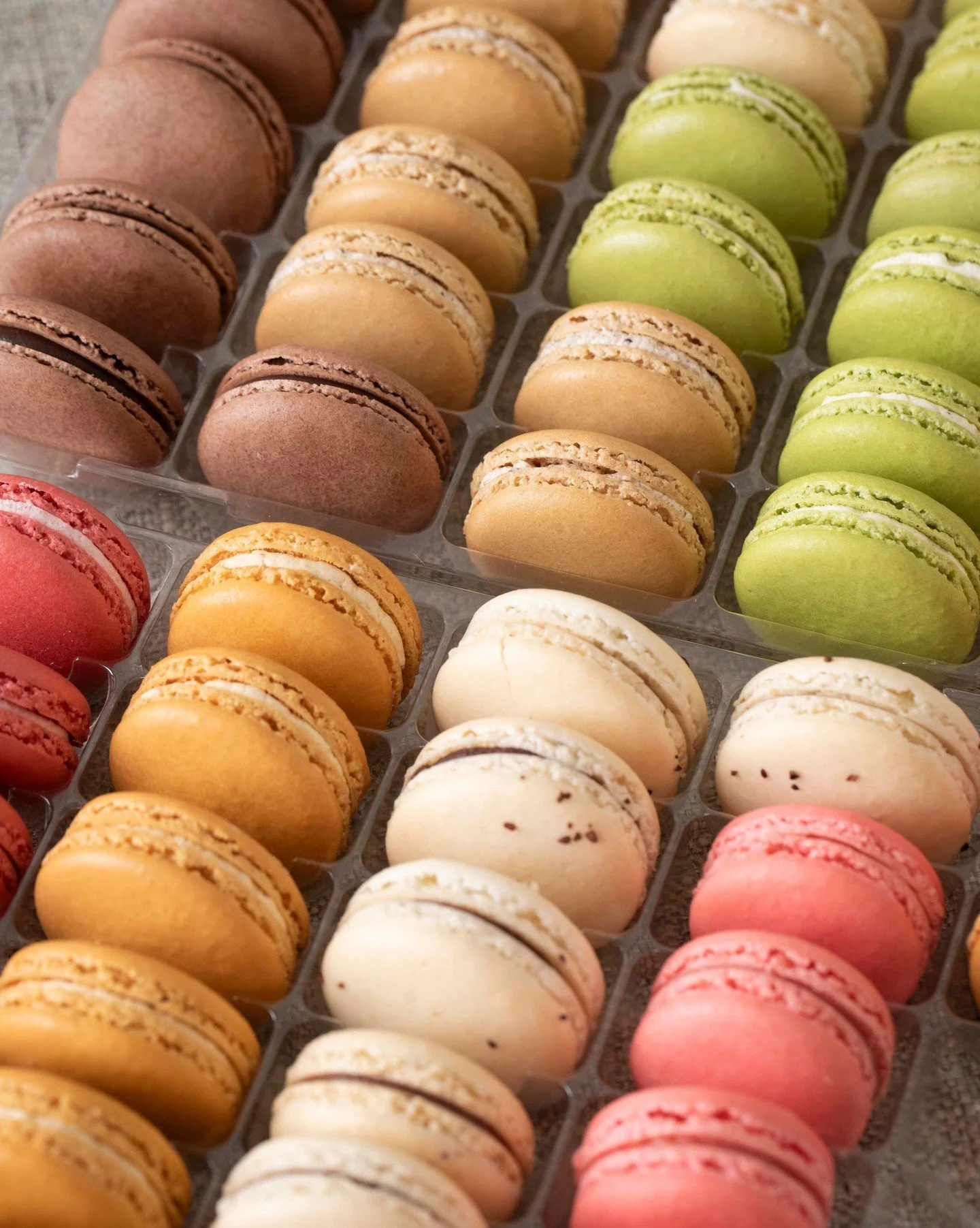 One week until Administrative Professional's Day!

Show love for the administrators that make your day-to-day easier. We have plenty of giftables in store ready for pickup or pre-order! 

Plan ahead: visit us in-store or give us a call at 314-858-101