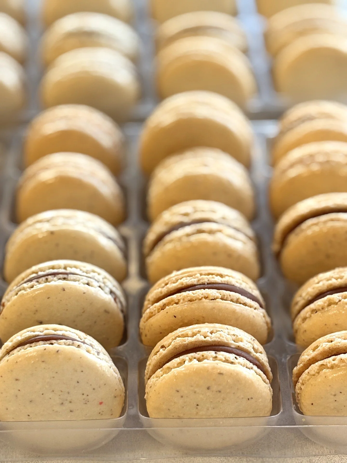 A new macaron has joined the case... 🤎

Our Milk Chocolate Hazelnut Macaron pairs a crispy, chewy hazelnut shell with rich milk chocolate hazelnut ganache. Available in-store now!