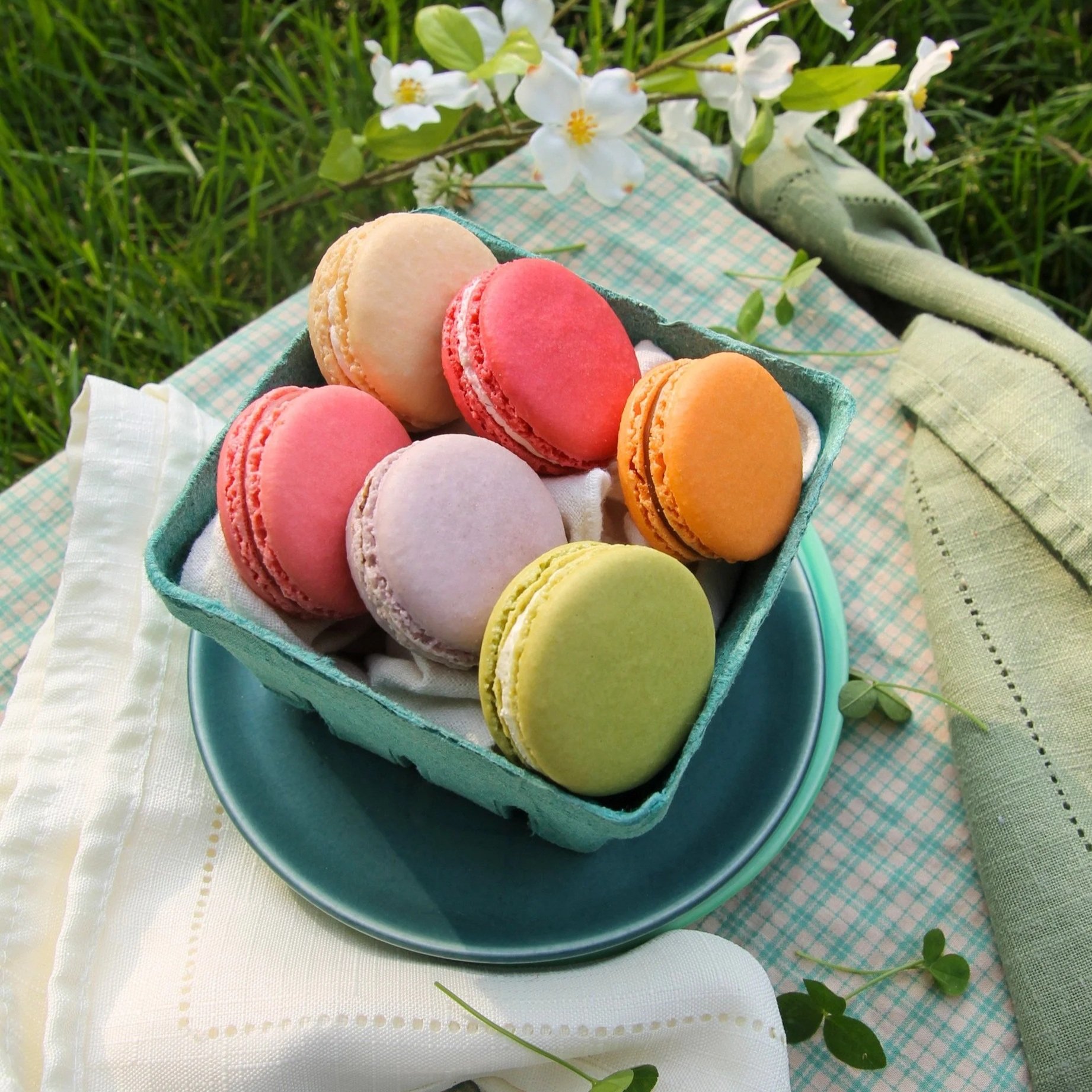 Summer Macaron Box