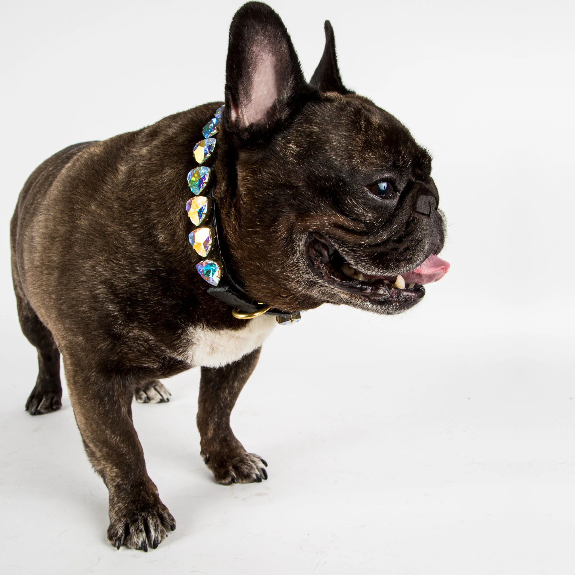 SuperNova wearing our KalidiHart - StellaStar in Crystalline