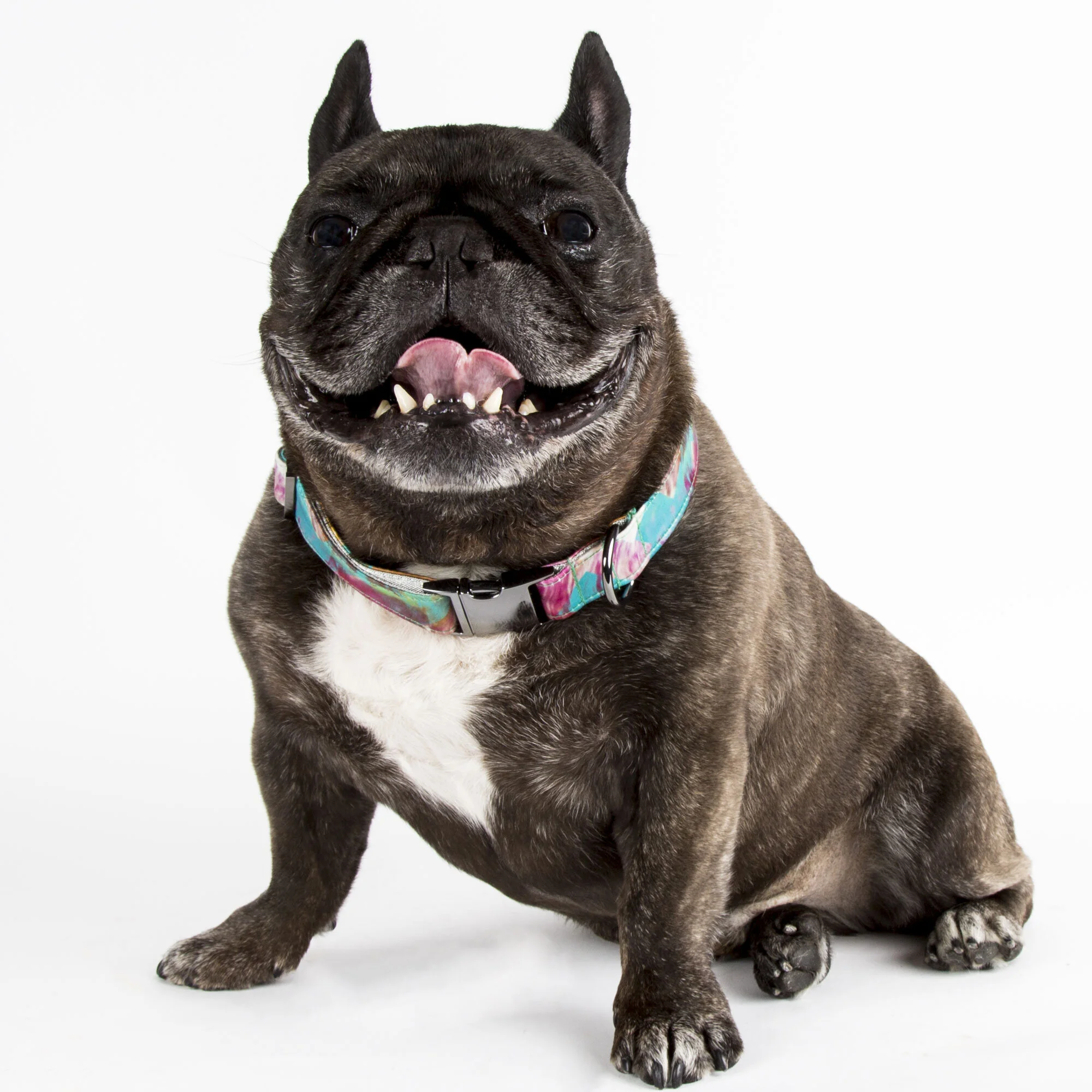 The TigerLily Collar